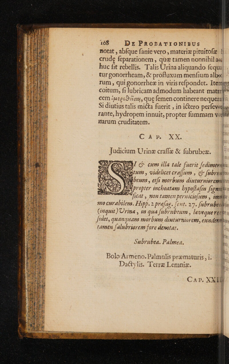 notat , abíque fanie vero , materiz pituitofz (| crude feparationem , que tamen nonnihil a« huc fit rebellis. Talis Urina aliquando fequi] . turgonorrheam, &amp; profluxum menfium alb] : rum , qui gonorrhez in virisrefpondet. Iterngs coitum, fi lubricam admodum habeant matr? cem iuseoSéicu, que femen continere nequeza] 31 diutius talis micta fuerit , in i&amp;tero perfeviqus rante, hydropem innuit, propter fümmam vid Harum cruditatem. Ca Ro XX. Judicium Urinz craffz &amp; fübrubez. 2: Ne M C eum illa tale faerit fedimerm ' ON » Videlicet era[[am , (5 Jubrtats: PAS AW Lezens , etfe morbum diuturnioremi: | X xpropter inchoatam bypoflaftn figna 4 ficat , mon tazen pernicio[oem , inb «o curabilem. Hipp. 2 prefag. fent. 27. fabrubedus (inquit )'Urina , in qua [ubrnbeum , levequevetys Jidet, quanquam morbum diuturtiorem, eundenm, tamen falubriorem fore denotar. I | Nn Subrubea. Palmea. b Bolo Armeno. Palmulis prmaturis , i. Dactylis. 'T'erre Lemniz. C A P, XXI í |