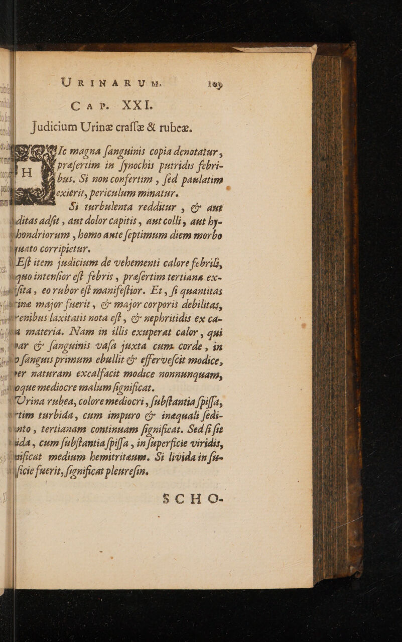URINAR U uw. C?A m XXI. Judicium Urine craffz &amp; rubez. e T Ic magna [anguinis copia denotatur , - qx prejertim im. fynocbis putridis febri- KA bus. 5i non corfertim , [ed pamlatim ESSE cxxierit, periculum minatur. Si turbulenta vedditur , C» aut dditas adfit , attt dolor capitis , aut colli, aut by- Woondriorum , bomo aute feptima diem morbo üyuato corripietur. | ILE[E item judicium de vebementi calore fzbrilz,  Bauoo iztenlior eft febris , prefertim tertiana ex- AMifita , eo rubor eff manifeflior. Et , fi quantitas uBrime major fuerit , cà major corporis debilitas, vlilemibus laxitatis nota eft , ci nepbritidis ex ca- ,[Nfe maateria. INam in illis exuperat calor , qui mar c fanguinis va[a juxta. cum. corde , in jb fanguis primum ebullit c efferve[cit modice, per naturam excalfacit sodice uonnunquam, Seque mediocre malum henificat. WUrina vubta, coloremediocri , [ubftantia [pilJa, tim turbida, cum impuro c inequali [edi- wto , tertianam continnam fienificat. Sed fi fit tda , cum fubftantia fpi[Ja , in faperficie viridis, JWeificat. medium bemuriteum. Si livida in fu- Micie fuerit, funificat pleuvefzn, SCH O-
