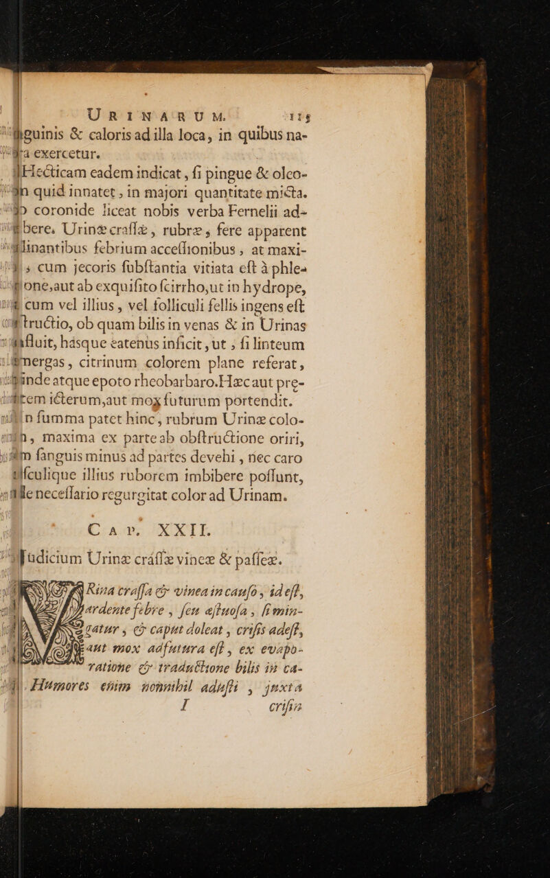 ypuinis &amp; caloris ad illa loca, in quibus na- 8a exercetur. | jHecticam eadem indicat , fi pingue &amp; olco- Sin quid innatet ; in majori quantitate micta. ^85 coronide liceat nobis verba Fernelii ad- Koere, Urinz craffz , rubrz , fere apparent -Shnantibus febrium acce(fionibus , at maxi- 13s cum jecoris fübftantia vitiata eft à phle- gone;aut ab exquifito (cirrho,ut in hydrope, //$ cum vel illius , vel folliculi fellis ingens eft ti tru&amp;tio, ob quam bilis in venas &amp; in Urinas : luit, hásque eatenus inficit ,ut ; fi linteum UBmergas , citrinum colorem plane referat, inde atque epoto rheobarbaro.Hzcaut pre- iftem iCterum,aut mox futurum portendit. ullin fumma patet hinc, rubrum Urinz colo- 4h, maxima ex parteab obftructione oriri, jm fanguis minus ad partes devehi , riec caro Wfculique illius ruborem imbibere poffunt, 1 ale necefario rcgurgitat color ad Urinam. C A D. X X I [. Madicium Urinz cráffe vinee &amp; paffez. | Rsza craffa ci viueain cau[o , id eff, ardente febre , fem afluofa , [imin- gatur , C capit doleat , crifis adeff, Jut mox adfuttra eft , ex. evapo- ratione ci traduttine bilis in ca- Ha Hpmores: esim. nonnihil adufli ,— jnxta