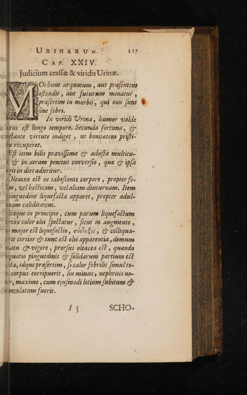 Car. XXIV. Judicium craífe &amp; viridis Urinae. Z Orbum arquatum , aut praJentema Á Mzoflendit , aut. futurmm. minatur , | Keprafertim in morbis, qui non (unt * E» /ine febri. iz S n viridi Urina, bumer valde h(Reus eff longo tempore. Secunda fortuna, cc dante virtute indiget ; Ht boniratema puüifi- hu Téc cuperet. E item bilis praviima e adufle multita- &amp; C dn atram penitus converfi que d ipía * i5 iz dies aduritur. DOleacea eft in tabe[cente corpore , propter fe- ». uel betlicaza , velaliam diuturnam. Item » lbngnediné lignefakla apparet , propter adnl- : lo caliditatem.  Miague in principio , cuu parum liquefactum -Arvix color elei f[petlatur , ficut im augmento , Wt major e$t liquefatIio , evvlgzie , C colliqua- Hirit certior co tumc ei olei apparentia , demum Wut. CP vigore , prorías oleacea est , quando 'agmatio pinouedinis c folidarum partium eif ia, idque pre[ertim , [i calor febrilis [egal to- Nucorpaus corripuevit , [us minus y nephritis uo- gr, Bixme, cum eiufmodi lotium fubitum c zzelatum unir SCHO-