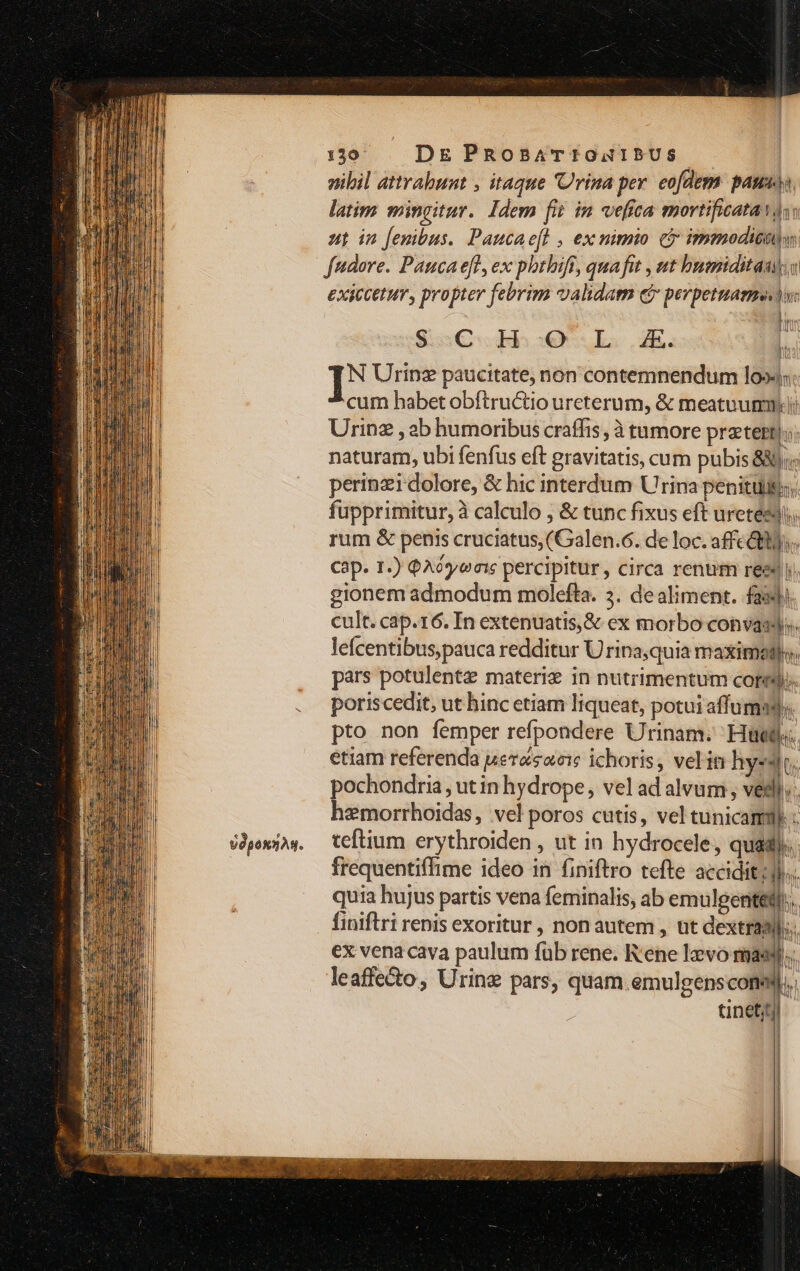 VOpoR2As. nibil attrabunt , itaque 'Urina per. eofdem pausa latim mingitur. Idem fit im vefica mortificata ws: up in fenibus. Paucae[l , ex nimio cb immodicnn fudore. Pauca eft, ex phthift, qua fit , ut bumiditan exiccetuy , propter febrim validam e perpetuae. lv: AUR $aCcoRlbe uL. uk. l I Urinz paucitate, non contemnendum lo»4; cum habet obftructio ureterum, &amp; meatnumni Urinz , 2b humoribus craffis , à tumore pratert!; naturam, ubi fenfus eft gravitatis, cum pubis 88; perinzi dolore, &amp; hic interdum Urina penitus; fupprimitur, à calculo , &amp; tunc fixus eft urete&amp;di. rum &amp; penis cruciatus, (Galen.6. de loc. affe tt. Cap. 1.) QAóyoeic percipitur, circa renum reed y. gionem admodum molefta. 3. dealiment. faa cult. cap.16. In extenuatis,&amp; ex morbo convas». lefcentibus,pauca redditur Urina,quia maximaglo. pars potulentz materie in nutrimentum COP. poriscedit, ut hinc etiam liqueat, potui affumagy. pto non femper refpondere Urinam. Hüte. etiam referenda uerasacie ichoris, velin hyesic. pochondria , utin hydrope, vel ad alvum, ved. hzmorrhoidas, vel poros cutis, vel tunicamgl teftium erythroiden , ut in hydrocele, quad). frequentiffime ideo in finiftro tefte accidit;]l.. quia hujus partis vena feminalis, ab emule. finiftri renis exoritur , non autem, üt dextraal... €x vena cava paulum füb rene. Rene lvo mass. leaffe&amp;o, Urinz pars, quam emulgenscomel.. tinetjt