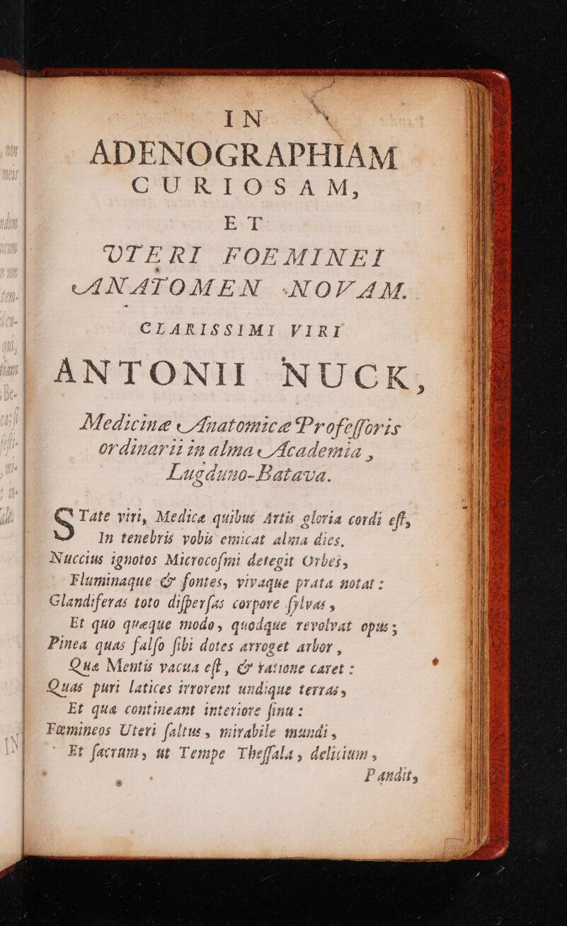 DNO ADENOGRAPHIAM CURIOSAM, E T UTERI FOEMINE MNATOMEN NOVAM. CLARISSIMI VIRI ANTONII NUCK Medicine Cfnatomice Mera Joris ordinari in alna« Academia 12725 70-Patava. » € 1n tenebris vobis emicat. alia dies, Nuccius ignotos Microcofmi detegit Orbes, F luminaque c fontes, vivaque prata notat : Glandiferas toto. difpev(zs covpore fylvas , Et quo queque modo, quodque revolvat opus; Pinea quas falfo fibi dotés d Wrroget Arbor , Que Mentis vacua e(t, Co ratione caret : Quas puri latices irrovent undique terras, Et qua contineant interiore [ina : Famineos Uteri faltus, mirabile mundi , Et facrum, ut Tempe Theffala , delia Et S! Iate viri, Medica quibut: Artis gloria codi eff,