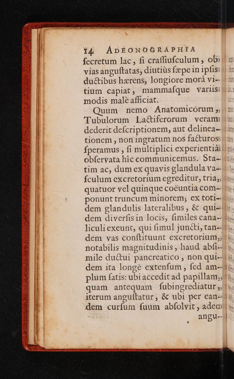 Me EO f v (y j » XS: 27. AUS s ] * v LARES CQ S n5 PV DS PET] Hh IS HERES 2 N Sun ya v ZO i4 AÁDEÉONOGRÁAPHIA — fecretum lac , fi craffiufculum , ob: vias anguftatas, diutiüs fzepe in ipfis: du&amp;tibus hxrens, longiore morá vt-- tium capiat ; mammaíque variis modis malé afficiat. Quum nemo Anatomicorum ;, 'Tubulorum La&amp;tiferorum veran dederit defcriptionem, aut delinea- tionem , non ingratum nos facturos: Íperamus , fi multiplici experientidi tim ac, dum ex quavis glandula va-- fculum excretorium egreditur, tr1a;, ponunt truncum minorem; ex toti- dem glandulis lateralibus ; &amp; qui- angu. w |