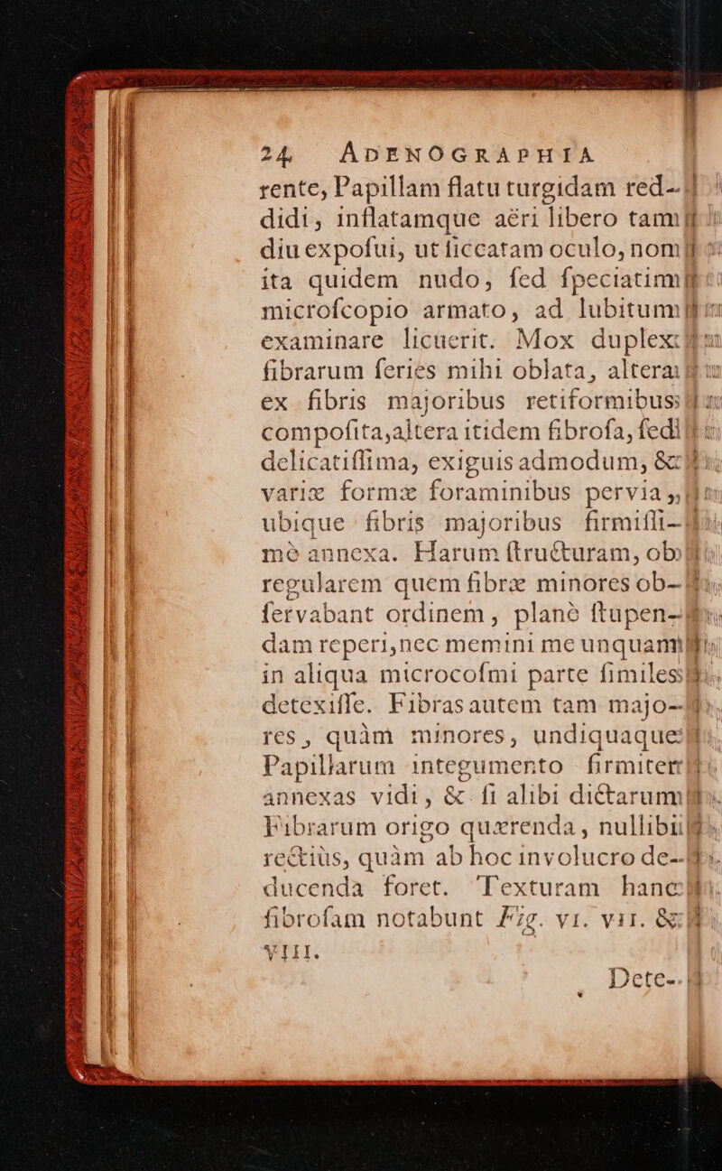 24 | ADENOGRAPHIA rente, Papillam flatu turgidam red didi, inflatamque aéri iiber tam diu expofui, ut ficcatam oculo, nom !| ita quidem nudo, fed fpeciatimml E C BER armato, ad lubitumm EN UJ xaminare licuerit. Mox duplex: m! Bblarum feries mihi oblata, altera: E || ex fibris majoribus retiformibus d 4  compofita;altera itidem fibrofa, fedi EI delicatiffima, exiguis admodum, &amp;ilb i; | varig formzx foraminibus pervia llo: ubique fibris majoribus firmifli-g me annexa. Harum ftructuram, ob: regularem quem fibre minores ob- di B fervabant ordinem, plané ftapen- B dam reperi,nec memini me un iquam uü || in aliqua microcofmi parte fimiles: a detexifle. Fibrasautem tam majo-- E res, quàm minores, undiquaquei d B! Papillarum integumento firmiter €— (——— PEEL ME Lt d |a annexas vidi, &amp;. ft alibi dictarum i B! Fibrarum origo quxrenda , nullibiilj E | rectius, quàm ab hoc involucro de-- Hi. E ducenda foret. Texturam hanclb BI fibrofam notabunt Zg. vi. vir. 8l z H I VIL. | ;] HI Dete-. 8 RE n