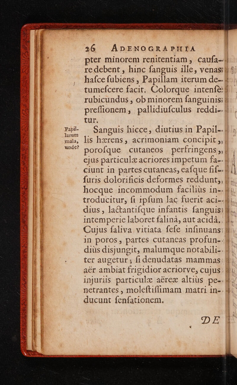 id TR Papil- larum ynala,; unde? AÁDENOGRAPHIÍA 56 tur. Sanguis hicce, diutius in Papil- lis hzrens, acrimoniam concipit ;, porofque cutaneos perfringens ;, ejus particulx acriores impetum fa.. furis dolorificis deformes reddunt;, hocque incommodum faciliüs in-. Cujus faliva. vitiata fefe 1nfinuans: diüs disjungit, malumque notabili- ter augetur; fi denudatas mammas aér ambiat frigidior acriorve, cujus injuris particule a&amp;rez altius pe- netrantes , moleftiflimam matri in- ducunt fenfationem.