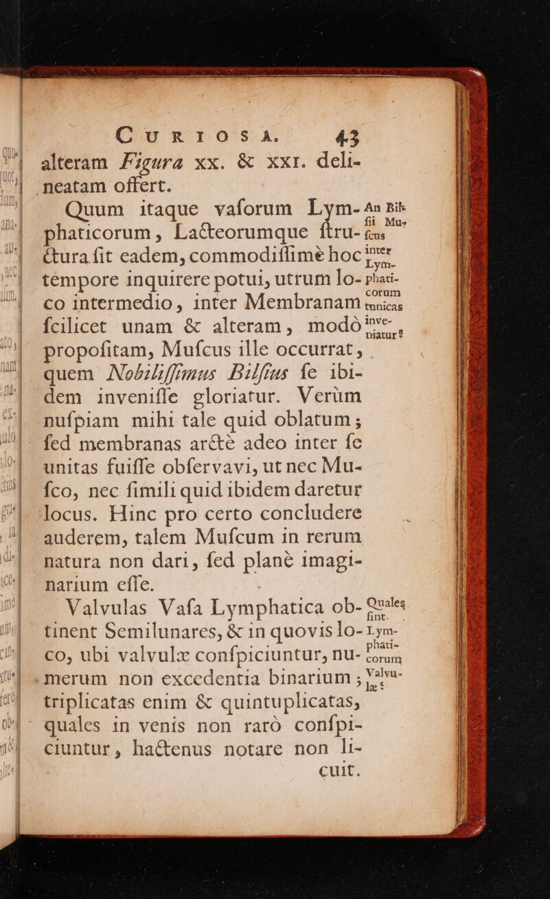 — 45 alteram Pzgura xx. &amp; xxr. deli- Quum itaque vaforum Lym-: An Bik phaticorum , La&amp;eorumque ftru- M iura fit eadem, commodiflime hoc es tempore inquirere potui, utrum lo- phai- co intermedio, inter Membranam «ica: fcilicet unam &amp; alteram, modó'v*, propofitam, Mufcus ille occurrat , quem AoébLEffnaus Bilfius íe ibi- dem inveniffe gloriatur. Verüm nufpiam mihi tale quid oblatum ; fed membranas arcté adeo inter  unitas fuiffe obfervavi, ut nec Mu- fco, nec fimili quid ibidem daretur auderem, talem Mufcum in rerum natura non dari, fed plané imagi- narium effe. Valvulas Vafa Lymphatica ob- 22 tinent Semilunares, &amp; in quovis lo- Lyn. Co, ubi valvulz confpiciuntur, 1] 2 Hier merum non excedentia binarium ; P2 quales in venis non raro conípi- ciuntur, ha&amp;tenus notare non li- cuit.