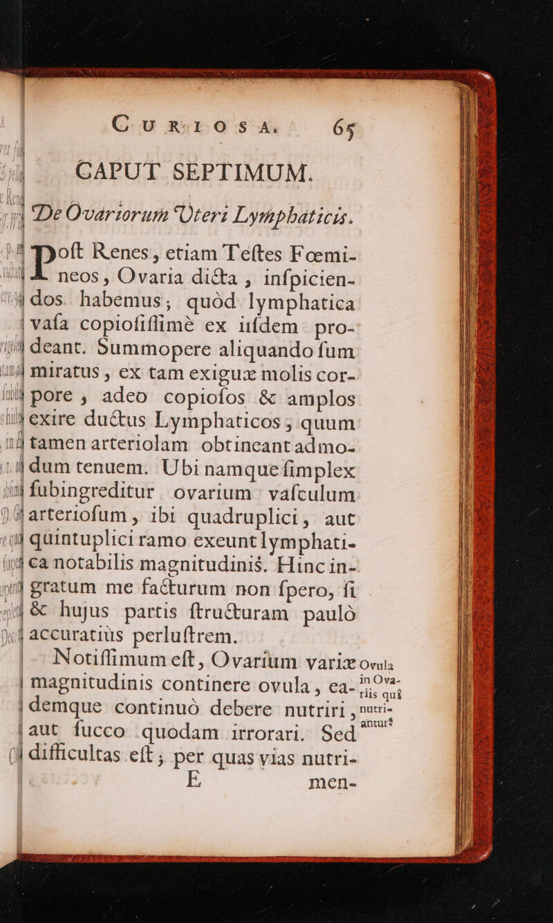 | | CAPUT SEPTIMUM. ] De Ovartrum teri Lympbaticis. a p» Renes, etiam Teftes Foemi- UH AL neos, Ovaria dicta , Infpicien- 4j dos. habemus; quód lymphatica | vafa copiofiffimé ex iifdem pro- (| deant. Summopere aliquando fum ij miratus , ex tam exigua molis cor- il) pore , adeo copiofos &amp; amplos iJ exire du&amp;us Lymphaticos ; quum 11] tamen arteriolam obtineant admo- ij dum tenuem. Ubi namque fimplex / fubingreditur | ovarium ; vafculum d arteriofum , ibi quadruplici, aut (0 quintuplici ramo exeuntlymphati- i4 €a notabilis magnitudinis. Hinc in- «) gratum me facturum non Ípero, fi 574 6&amp; hujus partis ftru&amp;uram pauló |j accuratius perluftrem. Notuffimum eft, Ovarium variz oc | magnitudinis continere ovula , ea- rd | demque continuó debere nutriri , naui- [aut fucco quodam irrorari. Sed (Il difficultas eft ; per quas vias nutri- men- — — — ————— «73 : FE? *UCBCEeACL m