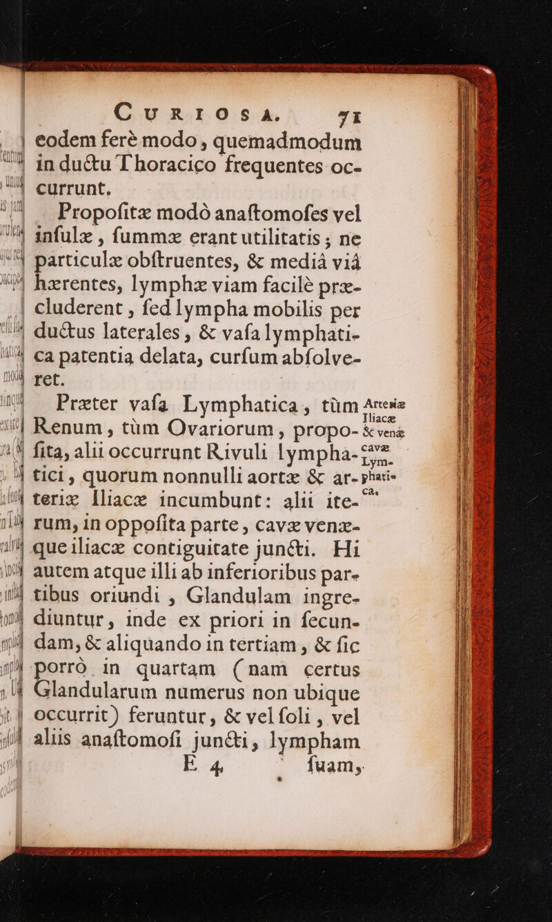 ..] eodem feré modo , quemadmodum ^^ In du&amp;u T horacico frequentes oc- A currunt, ^ . Propofitz modó anaftomofes vel 7^ anfulz , fummz erant utilitatis ; ne 4 particulz obftruentes, &amp; mediá viá ^ hxrentes, lymphz viam facile prz- | cluderent , fed lympha mobilis per 4 du&amp;us laterales , &amp; vafa lymphati- !/u Ca patentia delata, curfum abfolve- !3 Fert, | | 11) rum, in oppofita parte , cavz venz- 14 queiliace contiguitate juncti. Hi (^ autem atque illi ab inferioribus par- a $^4 tibus oriundi , Glandulam ingre- $ diuntur, inde ex priori in fecun- 104 dam, &amp; aliquando in tertiam , &amp; fic 4$ porró. in quartam (nam certus ; 4 Glandularum numerus non ubique i. | occurrit) feruntur, &amp; velfoli , vel (4 alus anaftomofi jun&amp;i, lympham E. 4. — —— $9 D i - NT IRE RUP aro aen zn REPE DIETER net RS RR