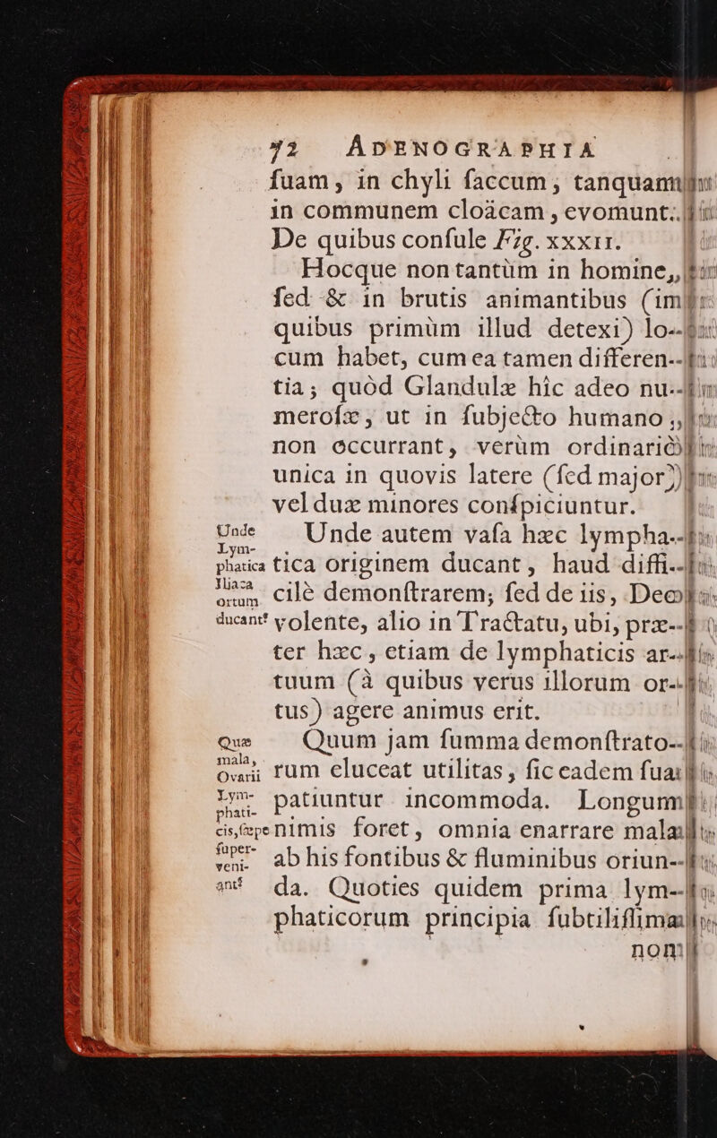 42. ÁDENOGRAPHIXK IM fuam , in chyli faccum ; tanquamuu | in communem cloácam , evomunt..] i n De quibus confule Fig. xxxi. IT Hocque nontantüm in homine, LB n fed -&amp; in brutis animantibus (imile Í E quibus primüm illud detexi) lo--$:5 BI cum habet, cumea tamen differen--pi: tia; quód Glandulzx hic adeo nu--i merofz, ut in fubje&amp;to humano hou: non occurrant, verüm ore unica in quovis latere (fed major) vel dux minores conípiciuntur. lt Ue . Unde autem vafa hzc Iympha-4f: / phaica tica originem ducant, haud diffi..]«: oum cilé demonftrarem; fed de iis, Deep dxan volente, alio in T ra&amp;atu, ubi, prz--[F o ter hzc, etiam de Iymphaticis arr B tuum (à quibus verus illorum or-A B tus) agere animus erit. | BE Qu .— Quum jam fumma demonf(trato-- [ti 4 3 BS wum cluceat utilitas , fic eadem fuailfi B pu patiuntur. incommoda. Longum: I1 dsCpenimis foret, omnia enarrare malai: au MP abhisfontibus &amp; fluminibus oriun--ls LE DU ^ da. Quoties quidem prima lym--fa AMI phaticorum principia fubtiliflimailo: E nomi