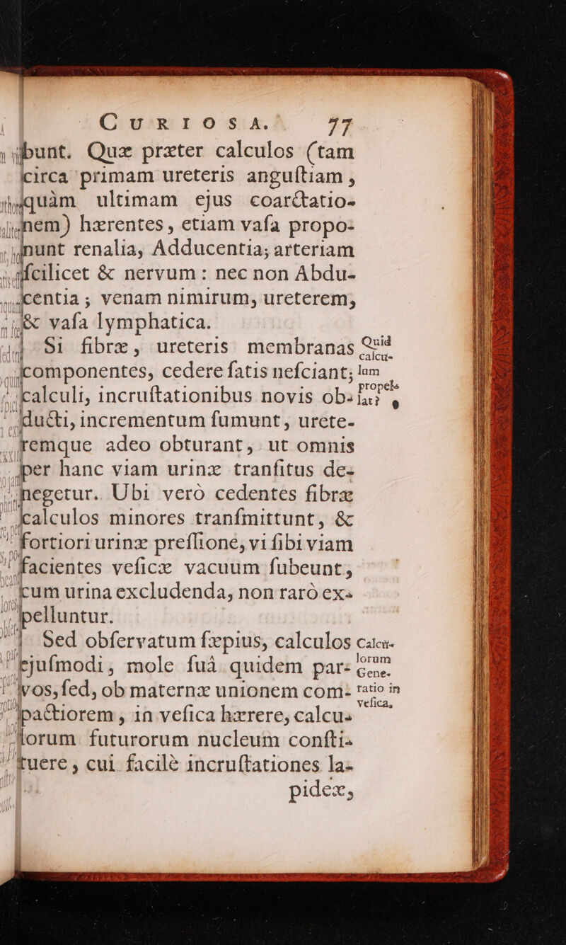 ibunt. Quz prater calculos (tam circa primam ureteris anguítiam , jgquàm ultimam ejus coarcatio- jnem) hazrentes , etiam vafa propo- unt renalia, Mi dusongem as arteriam feilico &amp; nervum: nec non Abdu- sentia ; venam nimirum, ureterem, Jac Baía Iymphatica. ? Si fibre, ureteris membranas Sii calcu- .omponentes, cedere fatis nefciant; m calculi, incruftationibus novis ob. diui ,jdu&amp;i, i incrementum fumunt , urete- , Temque adeo obturant , ut omnis per hanc viam urinz tranfitus de. negetur. Ubi vero cedentes fibrx lkalculos minores tranfmittunt, &amp; fortiori urinz preffione, vi fibi viam ! facientes vefic:e vacuum fubeunt, cum urina excludenda, non raró ex ;, Ipelluntur. (4 4, 9ed obfervatum fzpius, calculos ca f di l fi id lorum .Ejufmodi, mole fuá quidem par: c7. ' wos,fed, ob maternz unionem com: ve Ipa&amp;iorem , in vefica hxrere, calcu. orum. futurorum nucleum confti- Euere , cul facile 1ncruftationes la- pidex, IP FYNCECUERCETI GUIMUUNEL Uomo Fe LÀ PHRORADNC COAT, SEP P P D V EIER