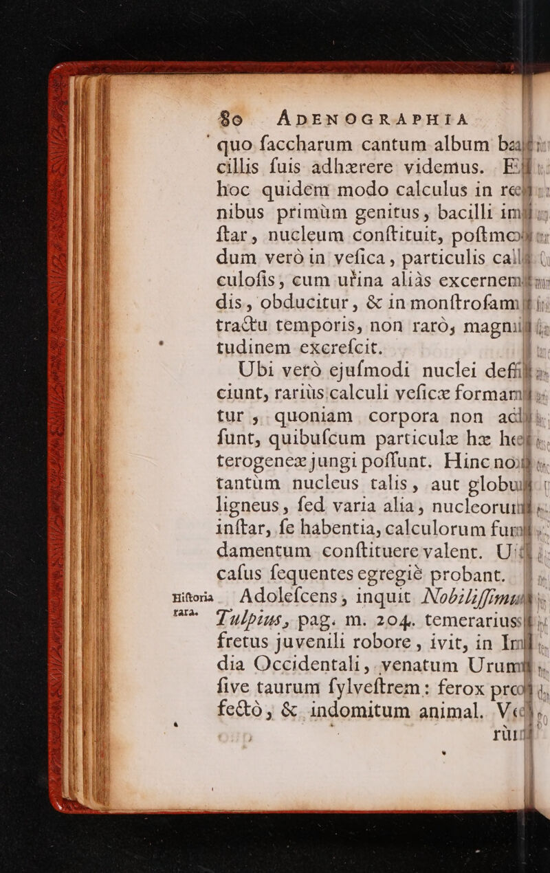 BER ES L1 PA ABS CUBREAD CN ELULmMIPIADADRCORGIA Be UU X  4» UN 2 ÁDENOGRAPHIA $o Hiftoria fara. cills fuis adhzxrere. videmus. . EJI hoc quidem modo calculus in rej nibus primüm genitus , bacillt 1m ftar, nucleum conftituit, poftmolyu dum veró in vefica , particulis calli | culofis, cum ufina aliàs excernemllus dis, obducitur, &amp; 1n monítrofamill i; trattu temporis, non raró, magniill (;: tudinem exerefcit. | Ubi vetó ejufmodi nuclei defílh o ciunt, rariuüs.calculi veficx formam; tur, quoniam corpora non aclji funt, quibufcum particulz hz he. terogenex jungi poffunt. Hinc nous tantum nucleus talis, aut globulf : ligneus , fed. varia alia, nucleoruil e inftar, fe habentia, calculorum furl. damentum conítituere valent. Uil; cafus fequentesegregié probant. |; Adoleícens ; inquit. Nobz ffl Tulpius, pag. m. 204. temerariusslb « fretus juvenili robore , ivit, in Inl. dia Occidentali ,. venatum Urumil ;, five taurum fylveftrem: ferox prcj d. fectó , &amp; indomitum animal. V«d. j Yu