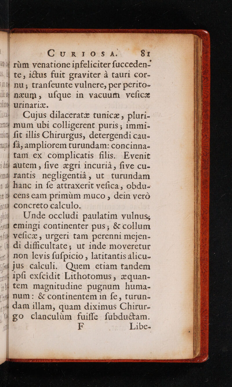 ilif ràm venatione infeliciter fucceden- | te, 1&amp;us fuit graviter à tauri cor- IJ nu; tranfeunte vulnere, per perito- /u nzum, ufque in vacuum vefica inm$* urinaria. | . Cujus dilaceratz tunicz , pluri- i mum ubi colligerent puris ; 1mmi- um fit illis Chirurgus, detergendi cau- 1/4 fà, ampliorem turundam: concinna- | tam ex complicatis filis. Evenit itj autem , five agri 1ncurià, five cu- 78 rantis negligentià, ut turundam ; 4j hanc in fe attraxerit vefica, obdu- 1 cens eam primum muco , dein veró 1J concreto calculo. i. Unde occludi paulatim vulnus; 4i emingi continenter pus; &amp; collum (i veficze , urgeri tam perenni mejen- 1 di difficultate; ut inde moveretur 4; J non levis fufpicio , latitantis alicu- jus calculi. Quem etiam tandem 44 1pfi exfcidit Lithotomus , z:quan- jlj tem. magnitudine pugnum huma- ^4 num: &amp; continentem 1n fe, turun- ;4 dam illam, quam diximus Chirur- (go clanculüm fuiffe fubdu&amp;tam. | F Libe- REZZETETELEWWACY IE Tee arm tret TRY TI TR YN