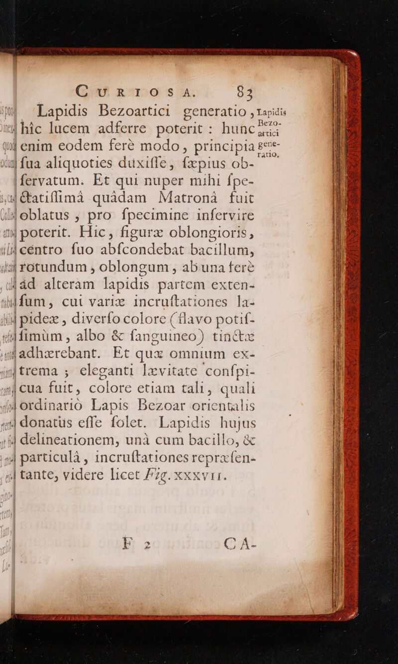 im 'Lapidis Bezoartici generatio , rapis 4hic lucem adferre. poterit : hunciz ij enim eodem feré modo, principia Le xij fua aliquoties duxitfe, (zpius ^ Mn fervatum. Et qui nuper mihi fpe- 4étatiflimà quàdam Matronà fuit i4eblatus ; pro fpecimine infervire (poterit. Hic, figurz oblongioris, ild céntro fuo abfcondebat bacillum, i34 rotundum , oblongum , ab una fere jád alteram lapidis partem exten- Mdfum, cui variz incruftationes la- | i| pides: diverfo colore ( lavo iae dfimum , albo &amp; fanguineo) tinc ad adharebant. Et qux omnium ex- y[trema ; eleganti Ixvitate confpi- | cua ant, colore etiam tali, quali dlüiainaus Lapis Bezoar orientalis 44 donatus effe folet. Lapidis hujus (id delineationem, unà cum bacillo, &amp; ;j particulà , incruftationes reprafen- 4| tante, videre licet P7g. xxxvir. E 2 (C Ji PRA VP OV SA RCANNS IRNT E f). PTS sys