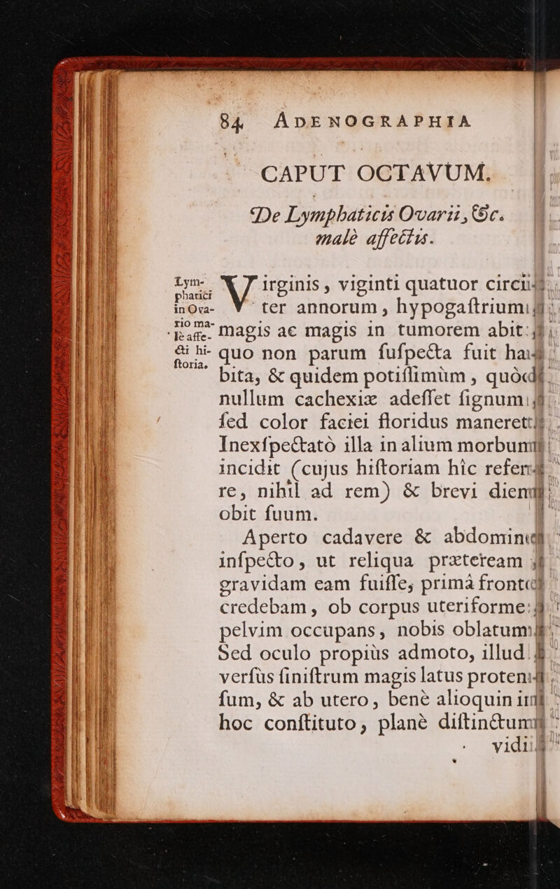 | ES QU es z Z c Ke VO AT i L^ j LA HERMAN Bes j 4 MA Lym- phatici in Ova- rio ma- &amp;i hi- ftoria. 84 ADENOGRAPHIA CAPUT OCTAVUM. gDe Lynphaticis Qvari 9c. male affectu. ter annorum ; uypogattriufMe magis ac magis in. tumorem abit jj quo non parum fufpe&amp;a fuit ha. bita, &amp; quidem potiflimüm , quód. nullum cachexix adeffet fignum jj fed color faciei floridus maneret] incidit (cujus hiftoriam hic refer EA fuum. infpetto, ut reliqua. prxteream 3i gravidam eam fuifle; primà frontid credebam , ob corpus uteriforme:jj *