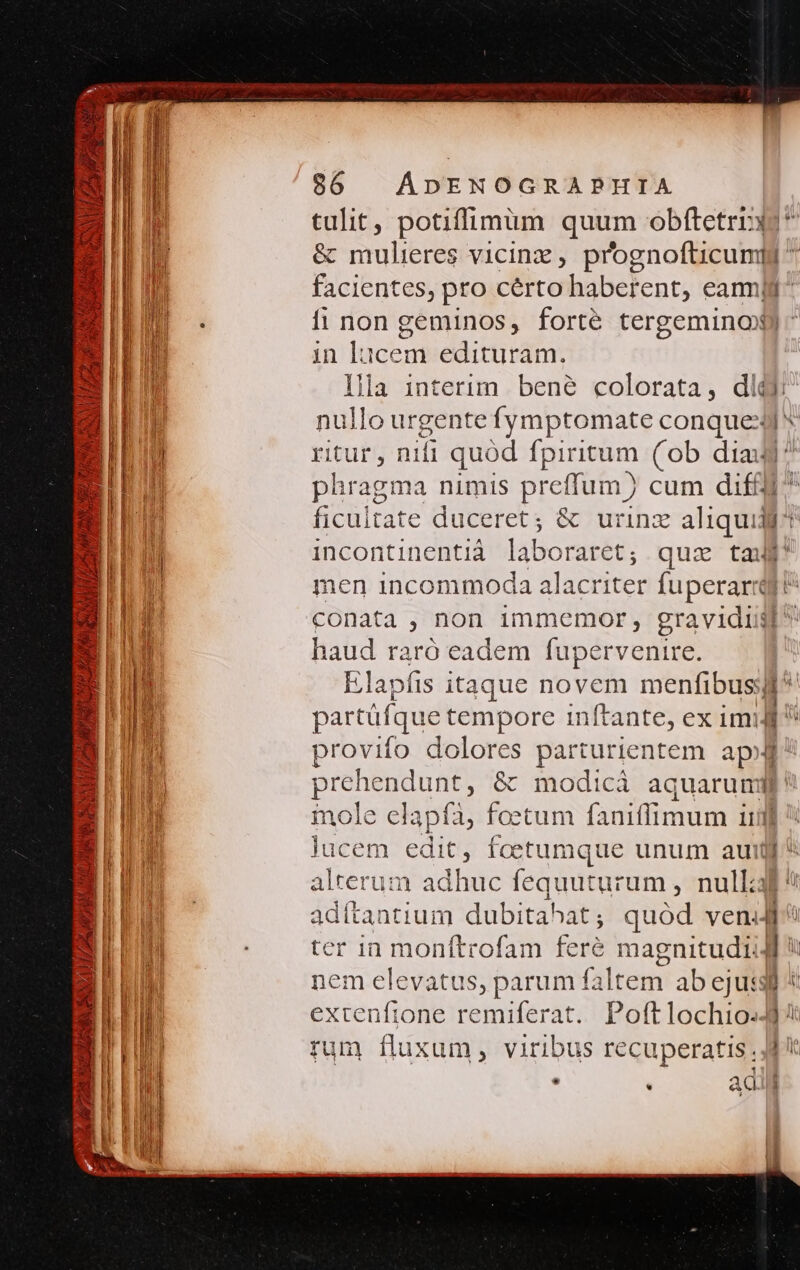 dress 36 * E A I 7o S BRA LIPS 906 | ADENOGRAPHIA tulit, potiffimuim quum obftetrrxo^ &amp; mulieres vicinz, prognofticumpi ^ facientes, pro cérto haberent, eanmjt^ fi non geminos, forté tergeminoXy ^ in lacem edituram. Illa interim bené colorata, dldj nullo urgente fymptomate conquexj* ritur, ni mn quód fpiritum (ob dia phragma nimis preffum ) cum dift ficultate e duceret; &amp; urinz e incontinentià laboraret; quz taf men incommoda RlnrPiTET (uperarid au conata , non immemor, gravidis haud raró eadem fupervenire. Elapfis itaque novem menfibus partüfque tempore inftante, ex imi E provifo dolores parturientem ap^ prehendunt, &amp; modicà aquarumif! iole elapfa, foetum faniffimum 1j lucem edit, foetumque unum aui ^ alterum adhuc fequuturum , nulla adítantium dubitabat; quód vend ter in monftrofam feré magnitudiigl * nem elevatus, parum faltem: ab ejusd *: extenftone remiferat. Poftlochio-J] t rum fluxum, viribus recuperatis Jd