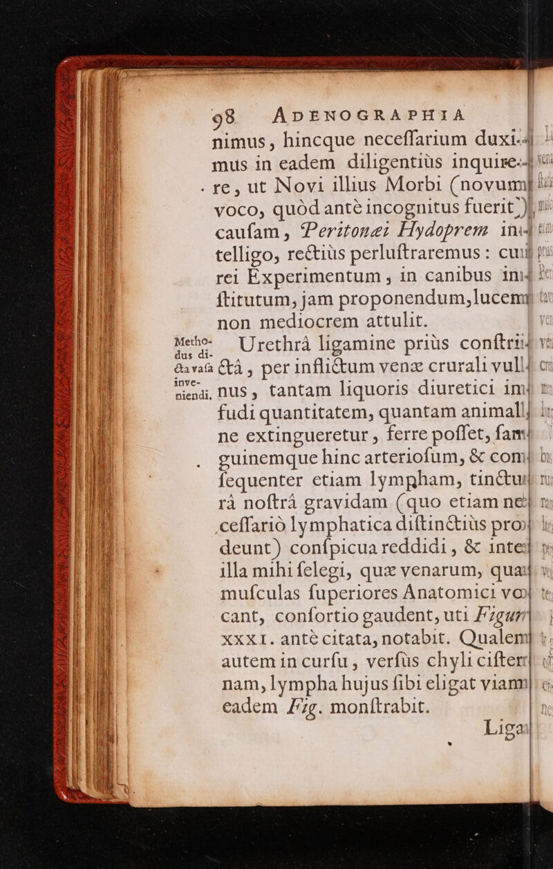 Aut 98 | ADENOGRAPHIA nimus, hincque neceffarium duxi-4 mus in eadem diligentius inquire--] . re, ut Novi illius Morbi (novum] ie voco, quód ante incognitus fuerit )b 1: caufam , fPerztone: Hydoprem ind t telligo, rectius perluftraremus : cui rei Experimentum , 1n canibus 1n ftitutum, jam proponendum,luceni non mediocrem attulit. Meh- — Urethrá ligamine prius conftri: &amp;avaa Ctà , per inflictum venz crura vull. we nus, tantam liquoris diuretici imj : fudi quantitatem, quantam animall] i: ne extingueretur , ferre poffet, fam: guinemque hinc arteriofum, &amp; comj fequenter etiam lymgham, tinctui| rà noftrá gravidam (quo etiam ne] : ceffarió lymphatica diftinctius pro» i; deunt) conípicua reddidi , &amp; intej y illa mihi felegi, qux venarum, quail v; mufculas fuperiores Anatomict voy t cant, confortio gaudent, uti F7gu7 XXXI. ante citata, notabit. Qualem] t autem in curfu , verfüs chyli cifter] o nam, lympha hujus fibi eligat vianr eadem 7g. monltrabit. gum — «o e rt Li1ca &amp;.