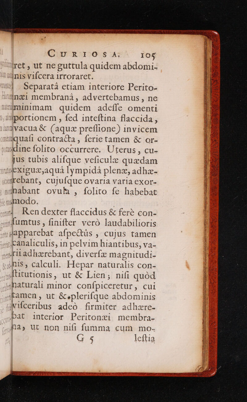 CURIOSA IO5 ret, ut ne guttula quidem abdomi- il'uimis vifcera irroraret. Mw Separatà etiam interiore Perito- wgnai membraná, advertebamus , ne minimam quidem adeífe omenti ;, i'fportionem , fed inteftina flaccida, imyvacua&amp; (aquz preflione) invicem myquafi contrata, ferie tamen &amp; or- xtxdine folito occurrere. Uterus, cu- jus tubis alifque veficulz quzdam «tlexigua,aquà lympidá plenz, adhzx- würebant, cujufque ovaria varia exor- snabant ovuh , folito fe habebat mmodo. | Kendexter flaccidus &amp; feré con- qumfumtus , finifter veró laudabilioris miapparebat afpe&amp;tüs , cujus tamen «myeanaliculis, in pelvim hiantibus, va- yit adhzerebant, diverfz magnitudi- xis, calculi. Hepar naturalis con- jfütutionis, ut &amp; Lien; nifi quód jiBaturali minor. confpiceretur, cui ;Kamen, ut &amp; plerifque abdominis jvifceribus adeó firmiter adhzre- .bat interior Peritonzi membra- [j4Ra» ut non nifi fumma cum mo- G 5 leftia