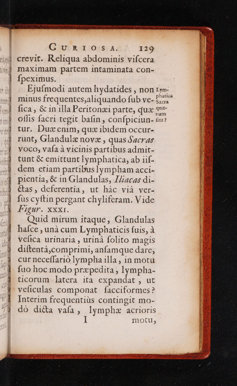 UR * e mit | N A doy ac^ m emm Dc w— [x CuRrO.:s A. 129 crevit. Reliqua abdominis vifcera maximam partem intaminata con- fpeximus. — Ejufímodi autem hydatides , non minus frequentes;aliquando fub ve- fica , &amp; in illa Peritonzi parte, qux tur. Duz enim, qux ibidem occur- runt, Glandulz novz , quas $acras voco, vafa à vicinis partibus admit- tunt &amp; emittunt lymphatica, ab iif- dem etiam partibuslympham acci- pientia, &amp; in Glandulas, JZaczs di- &amp;as, deferentia, ut hàc vià ver- füs cyftin pergant chyliferam. Vide Figur. xxxi. Quid mirum itaque, Glandulas hafce , unà cum Lymphaticis fuis, à Veítca. urinaria , urinà folito magis diftentà,comprimi, anfamque dare, cur neceffarió lympha illa , in motu fuo hoc modo prxpedita , lympha- ticorum latera ita expandat , ut veficulas componat facciformes? Interim frequentiüs contingit mo- do di&amp;a vafa, lymphz acrioris motu, ROSA AR LCUIEEAOE ROEPT TAURI ERST CELER Lym- phatica Sacra quz- LESE c T