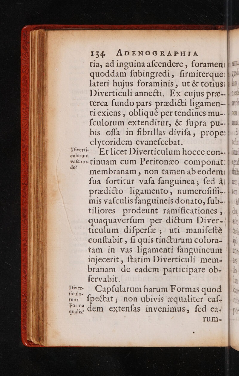 2^ A 20 RUSSIA BEN. AME DREAR BOSE Ee Etlicet Diverticulum hocce con-. pm tinuam cum Peritonxo componat: Diver- ticulo- 134 ÁDENOGRAPHIA quoddam fubingredi , firmiterque: | fcutana extenditur, &amp; fupra pu-. clytoridem evanefcebat. tiliores prodeunt ramificationes , ticulum difperfz ; uti manifefté conítabit , fi quis tin&amp;turam colora- injecerit , ftatim Diverticuli mem- branam de eadem participare ob- fervabit. Capfularum harum Formas quod Forma qualis? dem extenfas invenimus, fed ea. rum-