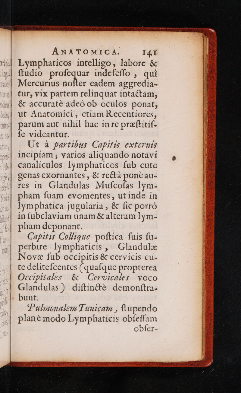 «(€ 9| 97 QUA Vu P n e IA ar BE sg oni RAT a ru qs edo ÁNATOMICA. 14Í Lymphaticos intelligo, labore &amp; ftudio profequar indefeffo , qui Mercurius nofter eadem aggredia- tur, vix partem relinquat intactam, &amp; accuraté adeó ob oculos ponat, ut Ánatomici , ctiam Recentiores, parum aut nihil hac inre przftitif- fe videantur. Ut à partibus Capitis externis incipiam ; varios aliquando notavi canaliculos !lymphaticos fub cute genas cxornantes , &amp; rectà ponéau- res in. Glandulas Mufcofas lym- pham fuam evomentes , ut inde in lymphatica jugularia, &amp; fic porró in fubclaviam unam &amp; alteram lym- pham deponant. Capitis Collique poftca fuis fu- perbire lymphaticis ,/ Glandulx Novz fub occipitis &amp; cervicis cu- te delitefcentes ( quafque propterea Occipitales &amp; | Cervicales. voco Glandulas ) diftin&amp;é demonftra- bunt. Pulmonalem Tunicam , ttapendo plané modo Lymphaticis obfeffam obfer- EL