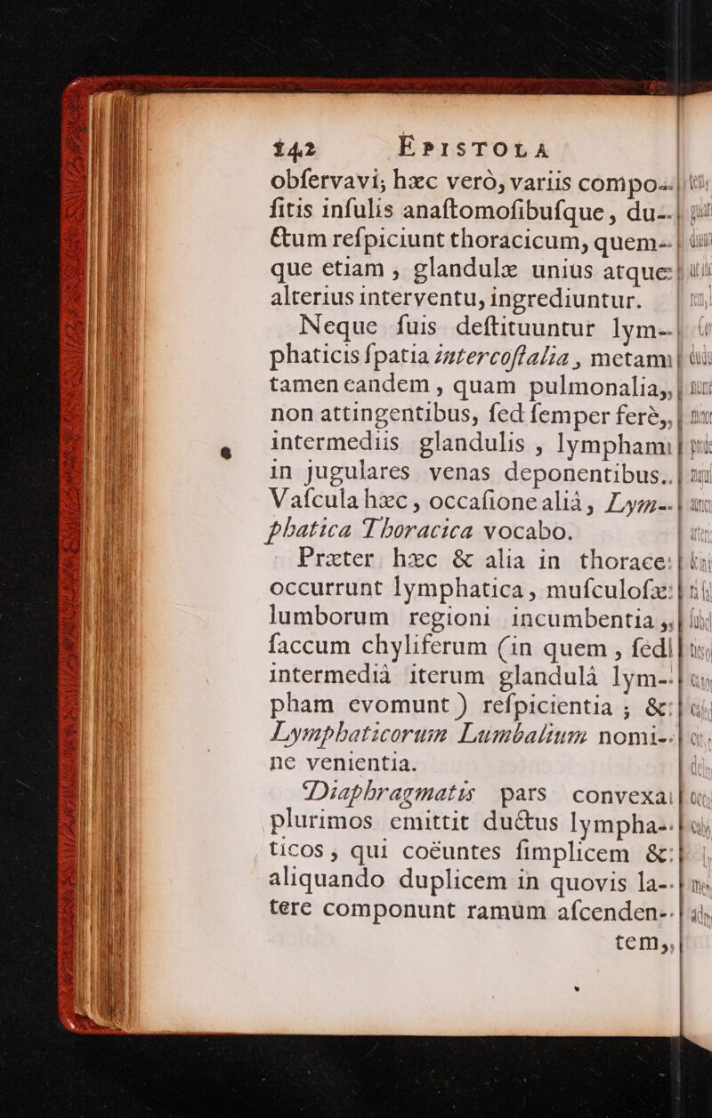 :] RSV LZA HAE MGR BS AZ HOW 142 EsPrsTOLA obfervavi; hxc veró, variis conmipo-.| fitis infulis anaftomofibufque , du-.| Cum refpiciunt thoracicum, quem-- | que etiam , glandulz unius atque:| alterius interventu, ingrediuntur. Neque fuis deftituuntur. lym-.| phaticis fpatia zz£ercoffalia , metami| non attingentibus, fed femper fere, intermedus glandulis , lymphami Vafcula hzc , occafionealià, Lysqz-. pham evomunt ) refpicientia ; &amp;: ewm nc venientia. JDuaphragmatis pars. convexai plurimos emittit du&amp;us lympha-. ticos , qui coéuntes fimplicem &amp;: aliquando duplicem in quovis la-. tere componunt ramum afcenden- tem,