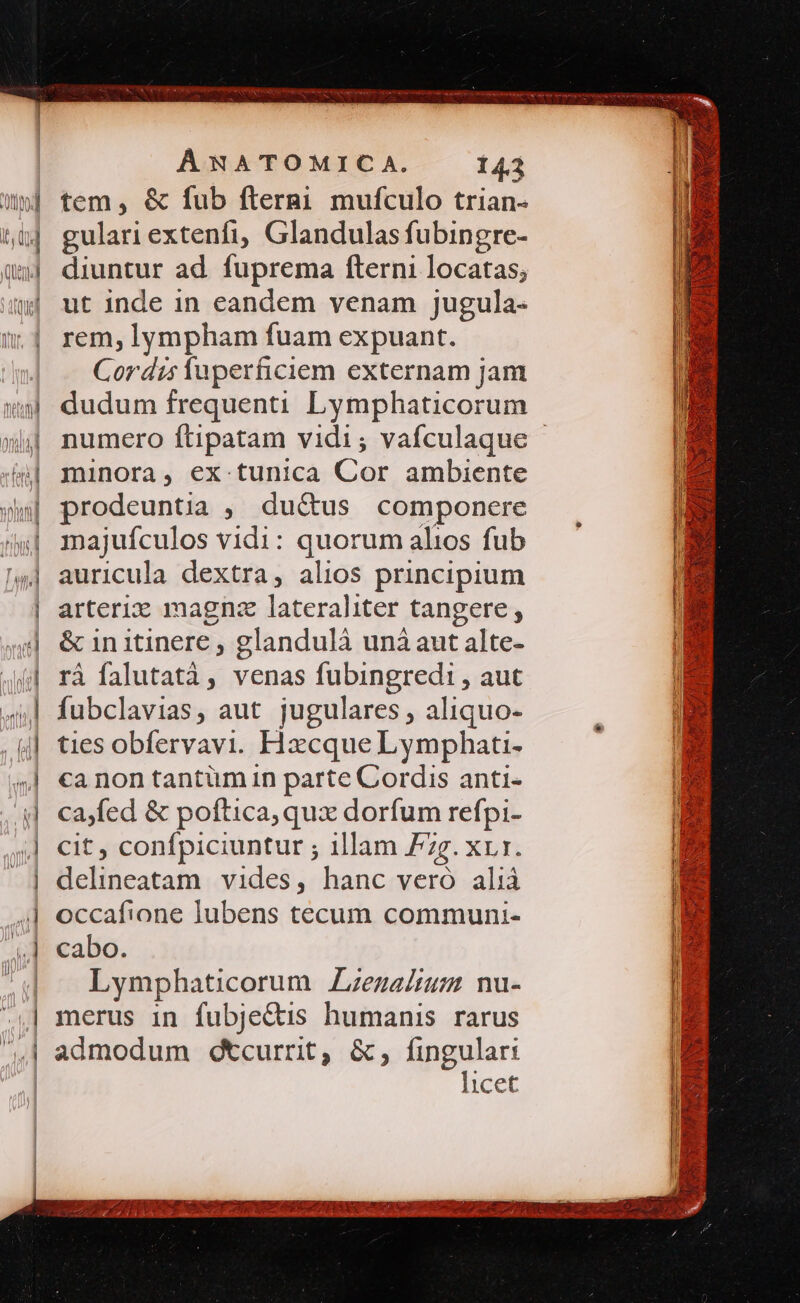 tem, &amp; fub fterai mufculo trian- gulari extenfi, Glandulas fubingre- diuntur ad fuprema fterni locatas; ut inde 1n eandem venam jugula- rem, lympham fuam expuant. Cordis fuperficiem externam Jam dudum frequenti Lymphaticorum minora, ex tunica Cor ambiente prodeuntia ,, du&amp;us componere majufculos vidi: quorum alios fub auricula dextra, alios principium arteriz magnz lateraliter tangere , &amp; in itinere , glandulà unà aut alte- rà falutatà, venas fubingredi , aut fubclavias, aut jugulares , aliquo- ties obfervavi. Haxcque Lymphati- ca non tantüm in parte Cordis anti- ca,fed &amp; poftica, qux dorfum refpi- cit , confpiciuntur ; illam Pg. xr. delineatam vides, hanc vero alià occafione lubens tecum communi- cabo. Lymphaticorum Zzeza/ium nu- merus in fubje&amp;is humanis rarus admodum dqtcurrit, &amp; , fingular: licet WIESSURSNA: BIS 2 noL 4s SENSN, 3;