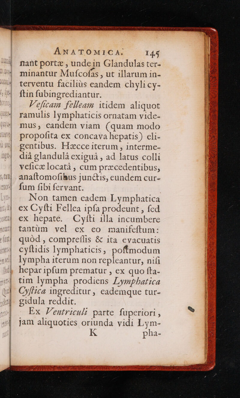 nant portz , unde in Glandulas ter- minantur Mufcofás , ut illarum in- terventu facilius eandem chyli cy- ftin fubingrediantur. Veficam felleam idem aliquot ramulis lymphaticis ornatam vide- mus, eandem viam (quam modo propofita ex concava hepatis) cli- gentibus. Hzcce iterum , interme- dià glandulà exiguá , ad latus colli veficz locatá , cum prxcedentibus, anaftomofibus jun&amp;is, cundem cur- fum fibi fervant. Non tamen eadem Lymphatica ex Cyfti Fellea ipfa prodeunt , fed ex hepate. Cyíti illa incumbere tantum vel ex eo manifeftum: quód , compreflis &amp; ita evacuatis cyftidis lymphaticis, poffmodum lympha iterum non repleantur, nifi hepar ipfum prematur , ex quo fta- tim lympha prodiens Lympbatica Cy/i;ca ingreditur, eademque tur- gidula reddit. Ex Pentriculi parte fuperiori , jam aliquoties oriunda vidi Lym- K pha- E LI (5 Eh cR. DEXSG AU EA ge wo xccl ae