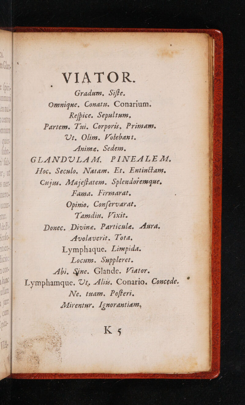  VIATOR. Gradum. Siffe. Omnique. Conatu. Conarium. Refpice. Sepultum. Partem. Tui. Corporis, Primam. Ut. Olim. Folebant. Anime. Sedem. GLANDULAZAM. PINEALE 4f, Hoc. Seculo. Natam. Et. Entinilam., Cojus. Magjeflatem.. Splendoremque, Fama. Firmarat, Opinio. Conftrvarat. : Tamdiu. Vixit. n Donec. Divine. Particule, dura. * A volaverit. Tota. a Lymphaque. Linpida. de Locum. Suppleret. : Abi. Size. Glande. Fator. Lymphamque. C7. 24i. Conario, Concede. | Ne. tuam. Pofleri, | ^ | JMirentur, Ignorantiam, B EZ [2| m » mi ? M : 5 | M a / BIG E LITHD ME doe T STIUH AMEVATTEAS mt ER CARIA ECT