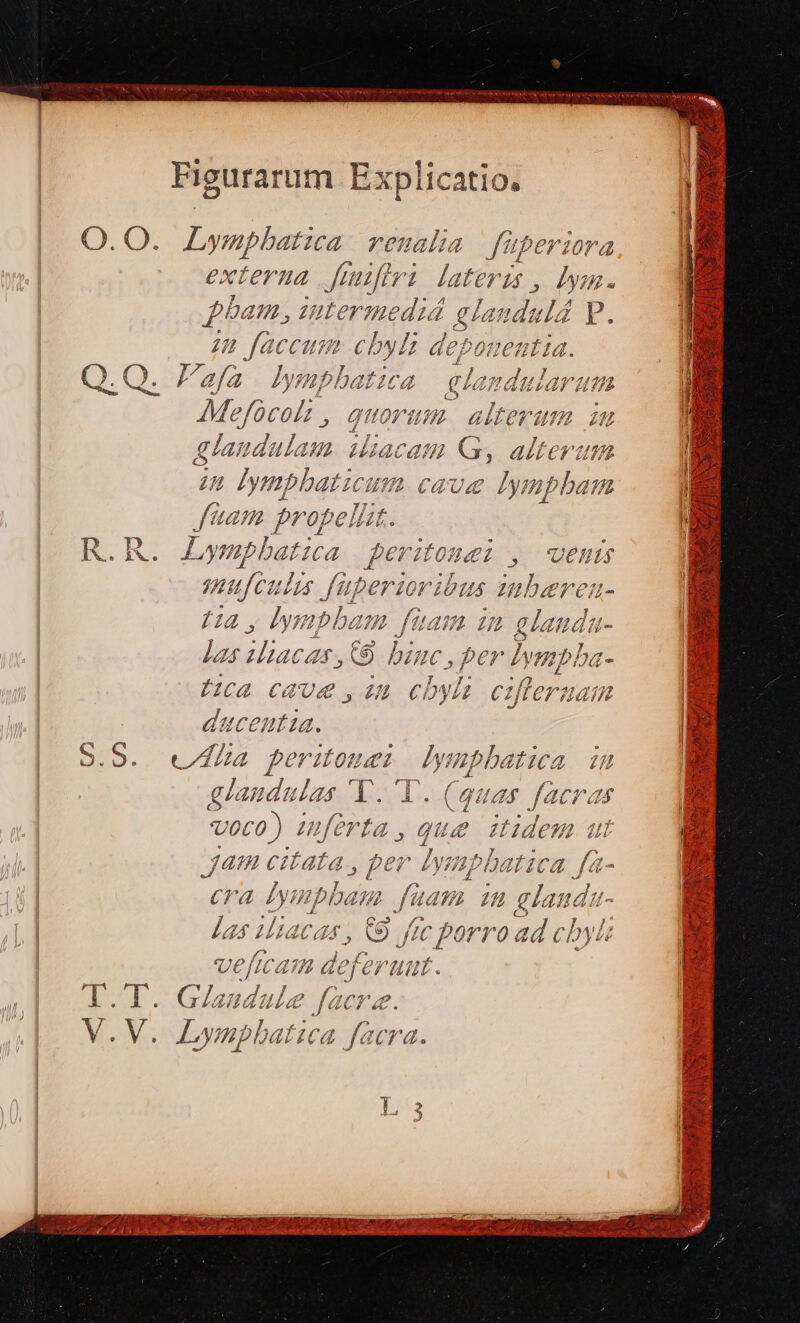SORCUCIRCUTEOROUTIE UAE VACUPIRP UR TR P NNUS QU A ars NU dra REQUE. qa j^ » Figurarum Ex cplicatio, O.O. Lympbatma reuala füperira externa Jmzfiri lateris, lym. L hdd ; » ?q pam , intermedid elaudulá p. zi 5 : 7 L1 - gn faccum cby! /; depouent1ia. 2 Àvga,; 7) hat; 2 a g 4 272 dz 21074114 Z 7? . 7. /IYDOqe24102 742 GLLt ^ HUP ef D j glandulam. iiacam G, alterum A d / 4.7 * $477 / 7. | un dympbaticum cause edi 7 » t 77 | Z4 / 4 E. wo uum propelhit. | FS P: p PT nsa Ms eT a x XV. R. Lynphatica peritonei , wen EAE id : : ? ^ 254375 2na2ensíis4^ 290? ? mufculis fuperioribus gzubereu lys abb. 722 f 2/3232 : 2 (Jt] f Pg J UpCU P TE DIE 0OLOfÓjá- 9-4 v3 c iN L] bos SY EN NW ta. ET ES HR iJ Jiacas , O bunc, per Iympba- »loq fa : HI ma M: 1l QC eu. £ e eria, gta 2 1Aaeg. 1i Do * e. E Hi : E j y 7 2 4 3^ 777 4^ I5 A 2 » | jam citata, per Iympbatica fa- 7 fs RUE ES ympban 72 [di /72 77, gowap T ^ C L j b) Eod P 2A ;J;, 7 A Z4 e m Pf) 2 Jr Lb ME Las 4a, , 9 J4€ porro ad c b yes (xe ^7 . Í | j f JU 1^7 »n7472 15 £5 0) g2mc2Y €i iL GO] CV HL. LT. Glandula * facer ti EL Ub i Lb c JJ Up) di. NV Lynple | e IS [ON over MEER TRYSDIUR SB ao EL RET TU RR Cg E UT