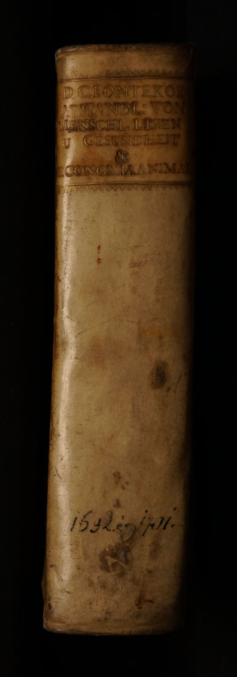 No text description is available for this image