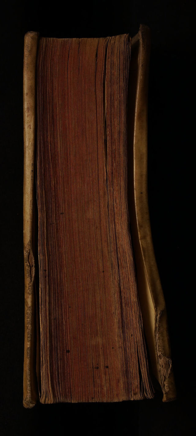 No text description is available for this image