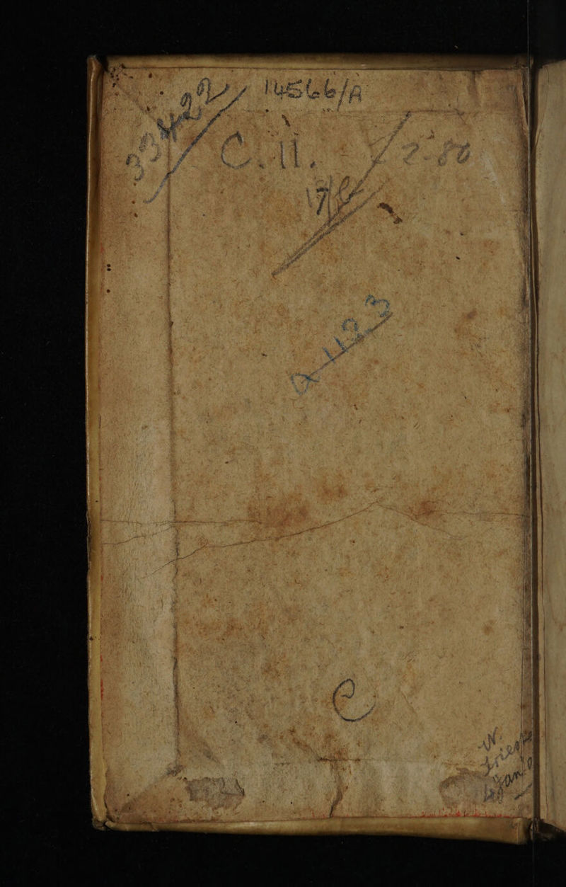 No text description is available for this image