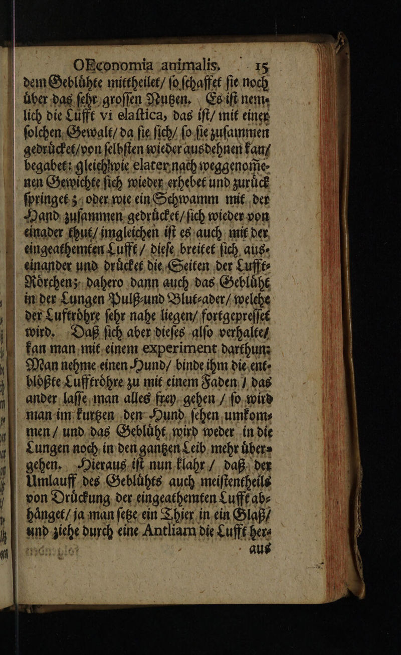       1 au — — —  OEconomia animalis. 15 dem Gebluͤhte mittheilet / fo ſchaffet fie noch über dag ſeht groſſen Nutzen. Es iſt nem. ſolchen Gewalt / ba fie fich/ ſo ſie zuſammen gedruͤcket / von ſelbſten wieder ausdehnen Fanız begabet: gleich wie elater nach weggenortiee nen Gewichte ſich wieder erhebet und zuruͤck ſpringet; oder. wie ein Schwamm mit. ber Hand zuſammen gedruͤcket / ſich wieder von einader thut / imgleichen iſt eß auch wit der. eingeathemten Lufft / dieſe breitet fich, auge einander und druͤcket die. Seiten der Lufft⸗ Roͤrchen; dahero ‚dann auch bas. Gebluͤht ber Luftroͤhre ſehr nahe liegen fortgepreſſet wird. Daß fic aber dieſes alſo verhalte / kan man mit einem experiment darthun: Man nehme einen Hund / binde ibm die ent⸗ bloͤßte Lufftroͤhre zu mit einem Faden / das ander laſſe man alles frey gehen / ſo wird man im kurtzen den Hund ſehen umkom⸗ men / und das Gebluͤht wird weder in die Lungen noch in den gantzen Leib mehr uͤber⸗ ik num. Flabr / daß der 