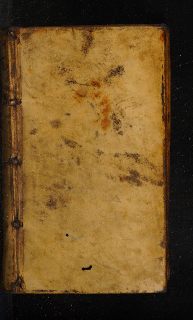 No text description is available for this image