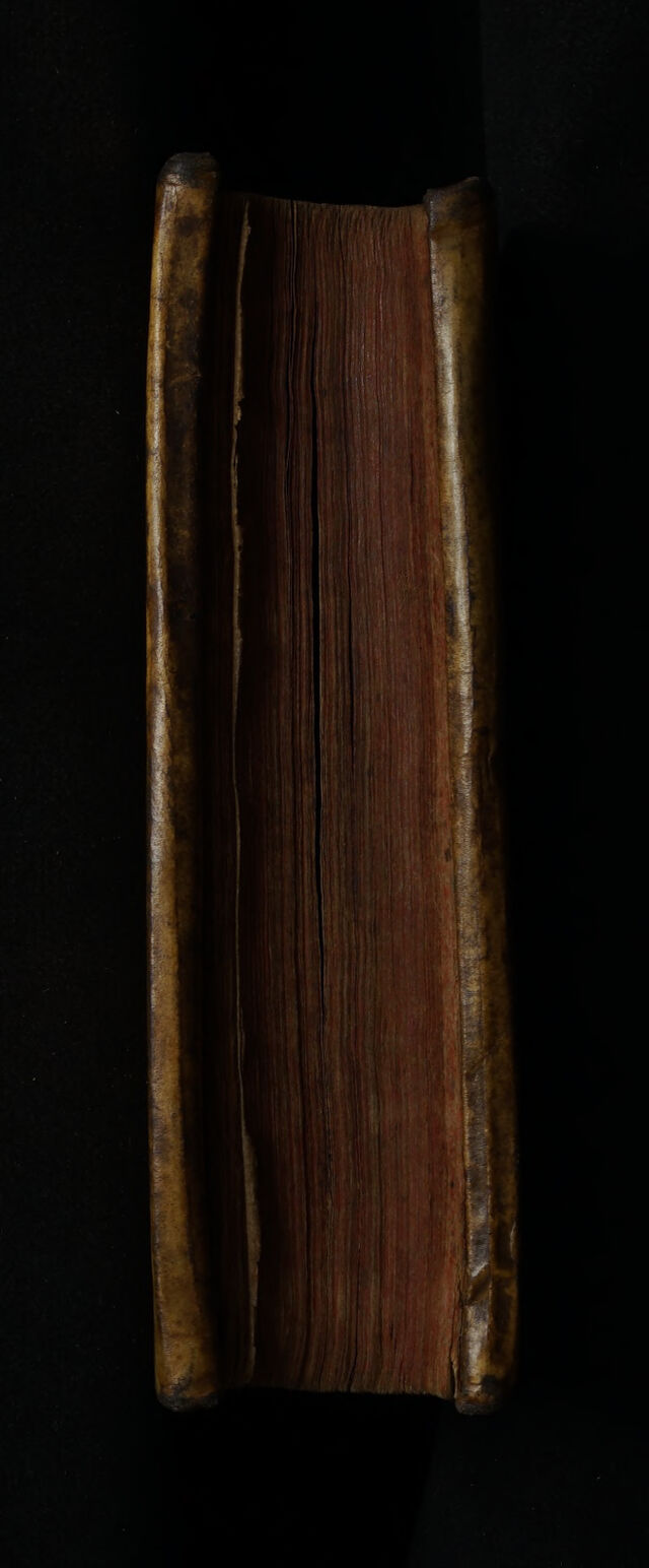 No text description is available for this image