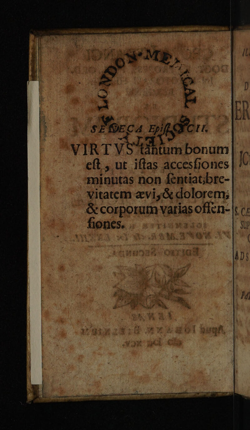 755 d Epi T E VI diac i Pihtum bonum cft , ut iftas accesbones minutas non fentiaG;brc- vitatem eviy&amp; dolorem; &amp; corporum varias poficn- y | fiones. | | wt p E»