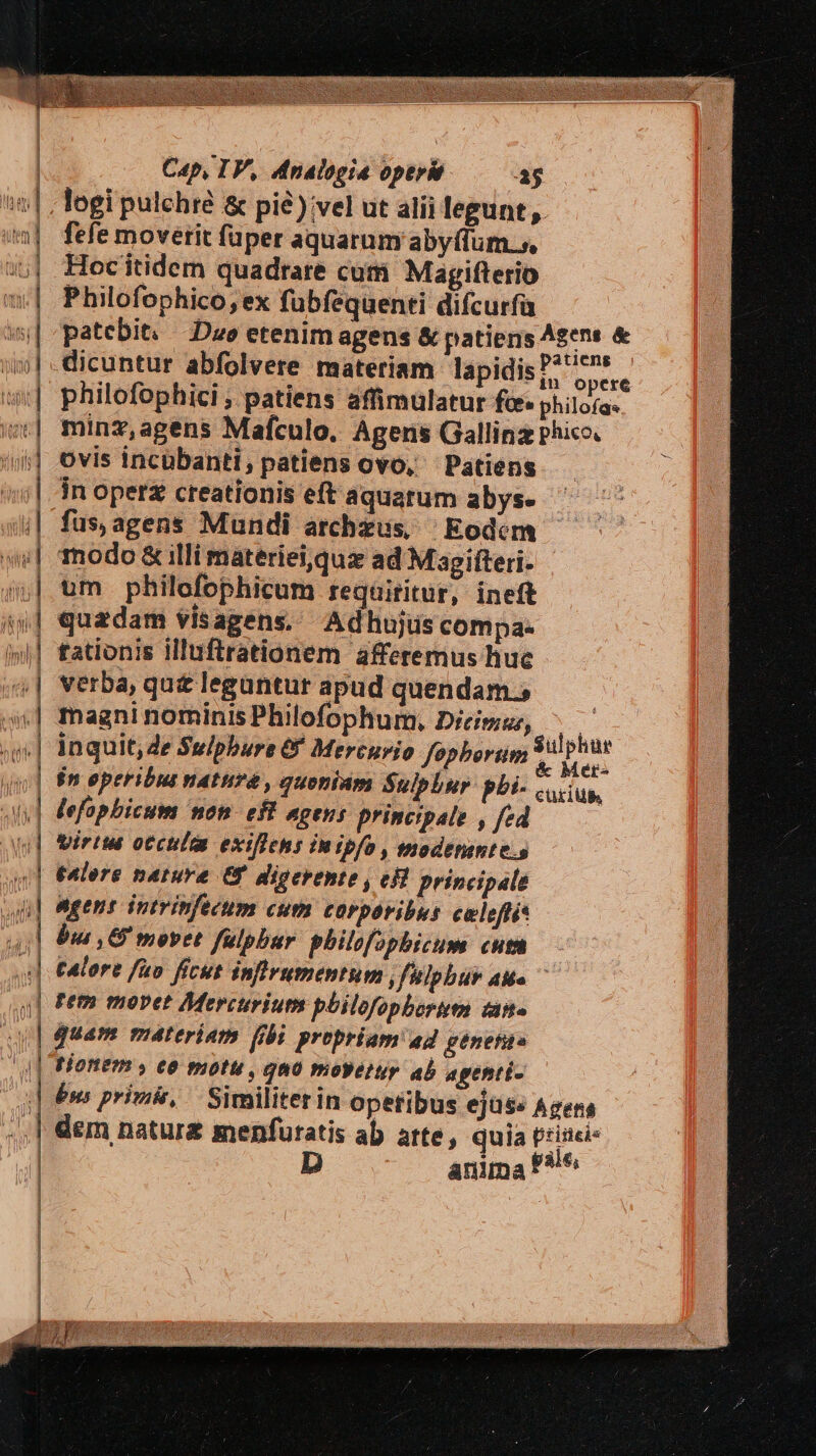 logi pulchre &amp; pié) vel ut alii legunt , fefe moverit fuper aquarum abyflum.s, :;|. Hocitidem quadrare cum Magifterio | Philofophico,ex fübfequenti difcurfa patebit... Duo etenim agens &amp; patiens Agen: &amp; | dicuntur abfolvere materiam lapidis d m | philofophici ; patiens affimülatur fc&amp;* philofas | minz,agens Mafculo. Agens Gallinz phico. '»;;| ovis incubanti, patiens ovo, Patiens i| dn operz creationis eft aquarum abys- ;| fus,agens Mundi archzus. Eodcm ad | | | »v«| nodo &amp; illi materiei,quz ad Magifteri | um philofophicum reqüiritur, ineft t4] quadam visagens. Adhujus compa- 4| tationis illuftrationem afferemus liue | verba, qut leguntur apud quendam. | .| magni nominis Philofophum. Dieims, ^ ' .| inquit, Ze Sulpbure &amp; Mercurio fepborum Sulphur i| $meperibus matura, quoniam Sulphur. pbi. : lefopbicum non. eft agens principale , fed ' ini uj - Cü£ilb, virius otculas exiflens imipfo , tmodeninte.s talers nature €f digerente, efi principale ngens intrinfecum cum corporibus culeftis bis ,G movet fulpbur. philofopbicum cut tAtore fuo ficut infirumentum ,fulphur aMe ^ rem movet Mercurium pbilofopbortti tita uu] quam materiam fibi propriam'ad getnefits 'q| Hionem , eo motu , qno movetur ab agenti- bw priis, ' Similiterin opetibus ejüs« Agens ^, | dem natur menfuratis ab arte, quia trinci- | anima F*le | | |