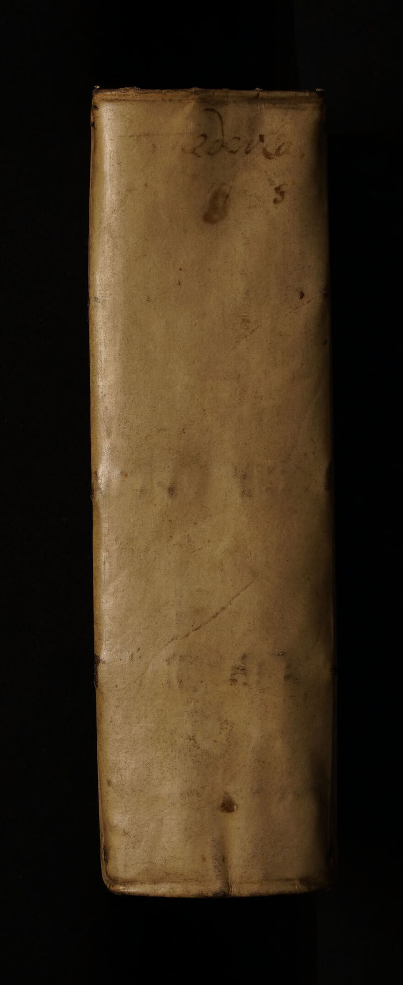 No text description is available for this image