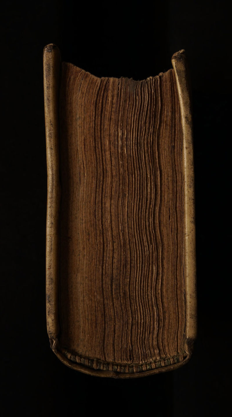 No text description is available for this image