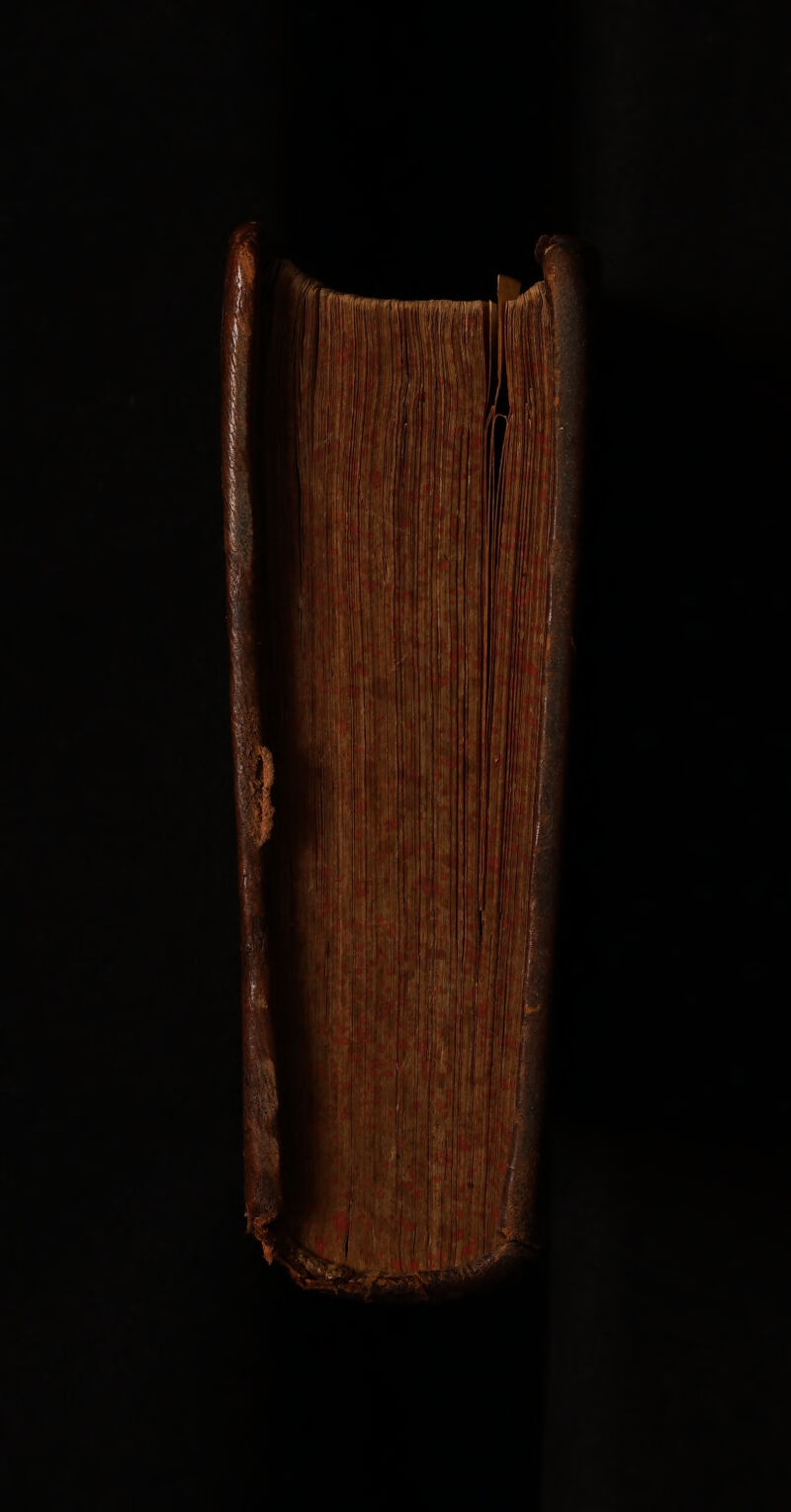 No text description is available for this image