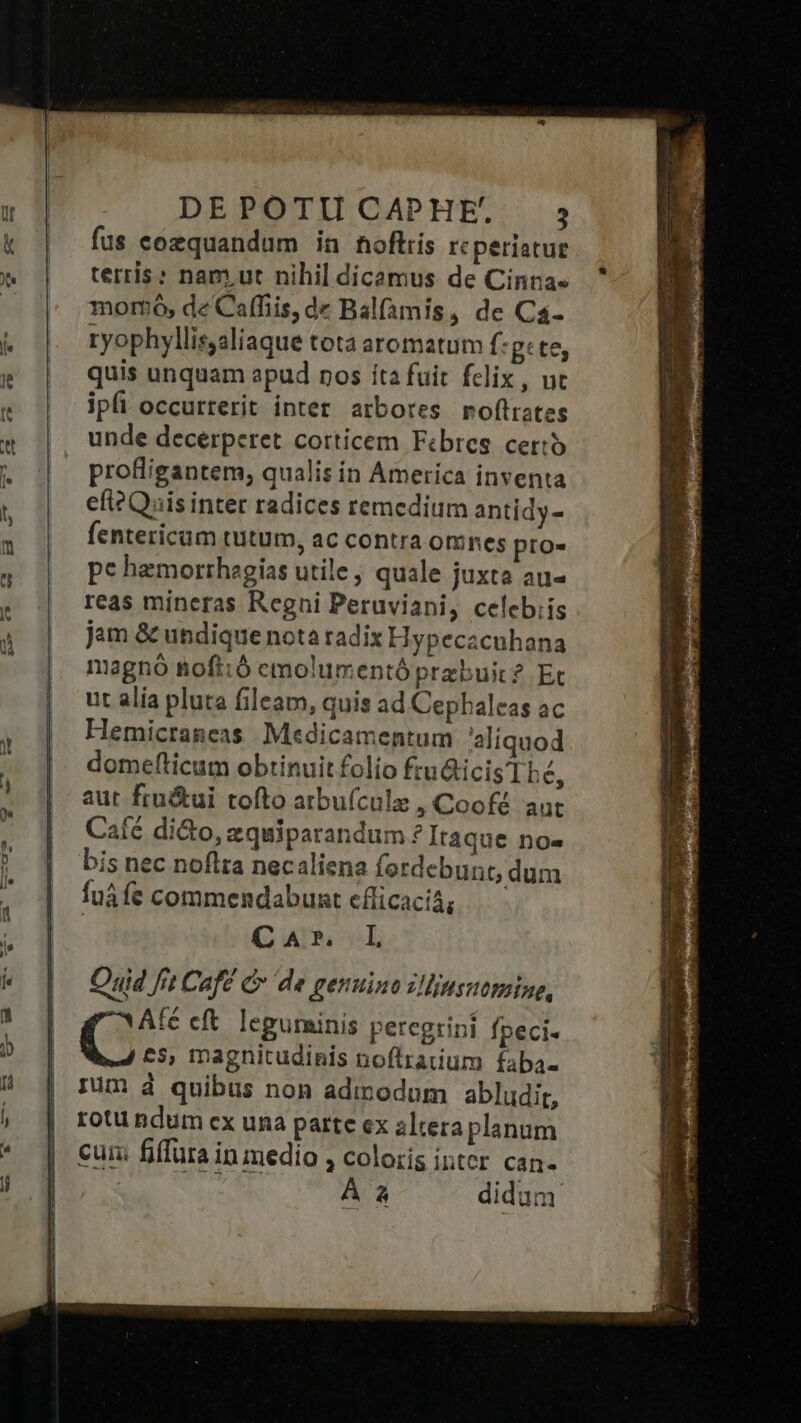 -— b DE POTU CAPHE'. 3 fus eozquandum in hoftis reperiatur terris: nam. ut nihil dicamus de Cinna- momó, de Caffiis, de Balfamis, de Ca- ryophyllisyaliaque tota aromatum f:g: te, quis unquam apud nos íta fuit fclix , uc ipfi occurterit inter arbores roftrates unde decerperet corticem Fibres. certo profligantem, qualis in America inventa efi? Qis inter radices remedium antidy- fentericam tutum, ac contra omnes pro- pc hemorrhegiías utile; quale juxta au- reas mineras Regni Peruviani, celeb;is jam &amp; undique nota radix Hypecacnhana magnó foft:ó emolumentó przbuit? Et ut alia pluta fileam, quis ad Cepbaleas ac Hemicraneas Medicamentum aliquod domefticum obtinuit folio fcu&amp;icisTLbé, aut fru&amp;ui tofto atbuícule , Coofé. aut Café di&amp;o, xquiparandum ? Itaque no- bis nec noflra necaliena fordcbunt, dum fu fe commendabunt cflicacis; GAS vL Quid fit Café C de genuino s!liusuaming, Afé cft. legurinis peregrini fpeci- ( magnitudinis poflratium faba- Ium d quibus non adirodum abludit, rotu ndum cx una patte ex alteraplanum cui fiffura in medio , coloris intcr can-