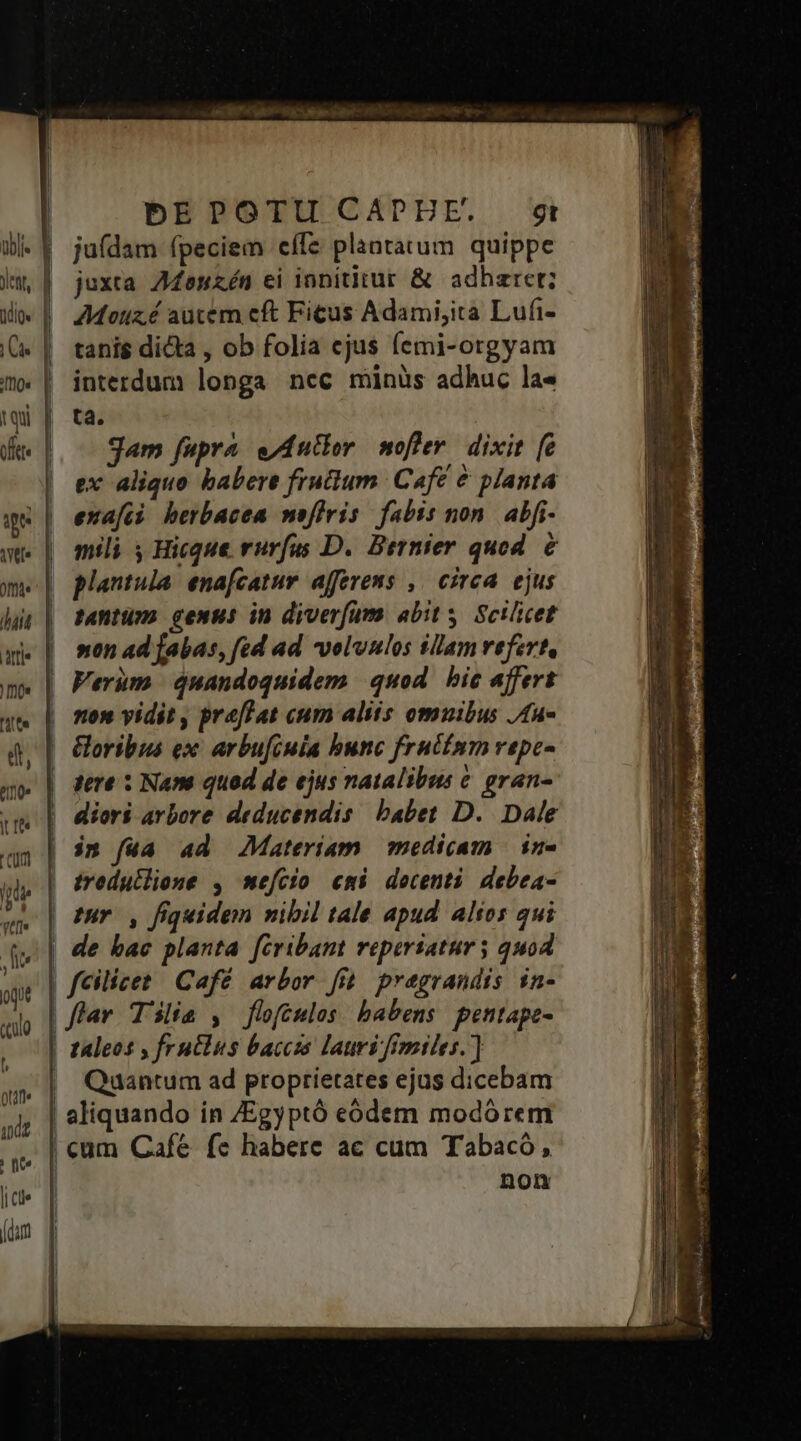 0b Moe qui ofer WT mos tU d J | d bEPOTU CAPHE. st juídam fpeciem eífe plantatum quippe juxta Afenzén ei innititur &amp; adharet; AMotz.é autem cft Ficus Adami,ita Lufi- tanis dicta , ob folia cjus femi-orgyam interdum longa ncc minüs adhuc la« ta. jam fupra ed utbor offer. dixit [e ex aliquo habere frutium Cafe &amp; planta exafii herbacea noflris fabis non. abfi- mili y Hicque rurfus D. Bernier quod. 6 plantula. enafcatur affevens ,— cirea. ejus fantumo gemus in diverfum abit. Scilicet »en ad [abas, fed ad veluulos illam refert, Verum. quandoquidem. quod. bic affert non yidit , preffat cum aliis omuibus /fu- oribus ex: arbufiuia bunc frucimm vepe- diori arbore deducendis babet D. Dale iredutlione , mefcio cmi decenti debea- uro, fiquidem nibil tale apud. alios qui de bac planta fcribant reperiatur; quod fcilicet Café arbor fi pregrandis in- fiar Tila , floftulos habens pentape- taleos , fruclus baccis lauri fimiles. ] Quantum ad proprietates ejus dicebam aliquando in /Egyptó ceódem modórem Don