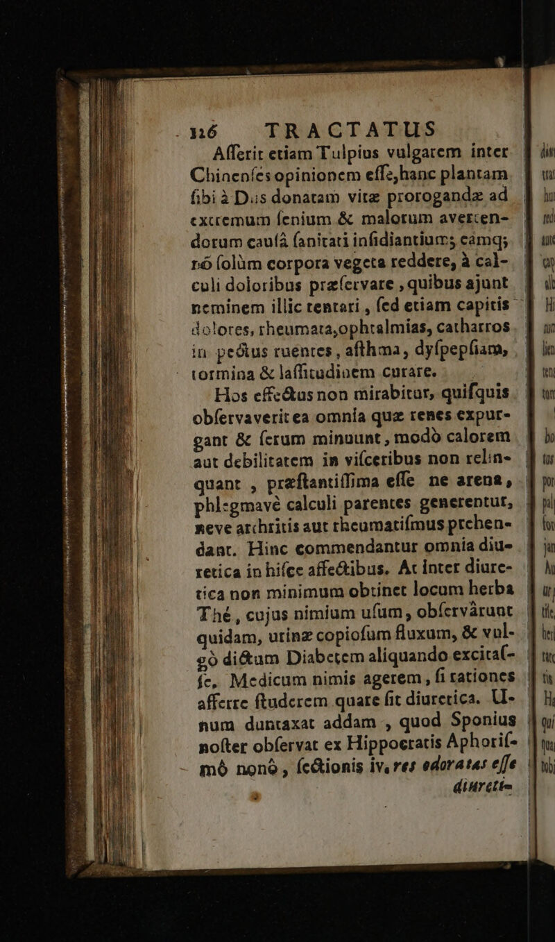 A(ferit etiam Tulpius valgatem inter Chineníes opinionem effz,hanc plantam fibi à Dus donatam vitz prorogandz ad cxccemum fenium &amp; malorum avercen- dorum cau(à fanitati infidiantium; camq; ró (olüm corpora vegeta reddere; à cal- culi doloribus przíervare , quibus ajunt. | neminem illic tentari , fed etiam capitis | dolores, rheumata,ophtalmias, catharros in. peótus ruentes , afthma, dyfípepfiam, tormina &amp; laffitudioem curare, —— Hos effc&amp;us non mirabitur, quifquis obfervaveritea omnía quz renes expur- gant &amp; ferum minuunt , modo calorem aut debilitatem im vifceribus non relin- quant , przftantiflima effe ne arena, phi:gmavé calculi parentes generentur, seve archritis aut thcumatifmus prchen- dant. Hinc commendantur omniía diu- retica in hifce affe&amp;tibus. At inter diurc- tíca non minimum obtinet locum herba Thé, cujus nimium ufum; obícrvárunt quidam, urinz copiofum fluxum, &amp; vul- | 29 di&amp;um Diabetem aliquando excira(- | fe, Medicum nimis agerem, fi rationes afferre ftuderem quare fit diuretica. LI- num duntaxat addam , quod Sponius | no(ter obfervat ex Hippocratis Aph orif- | mó nonó , fc&amp;ionis iv. rez edorate: effe. diHrétto