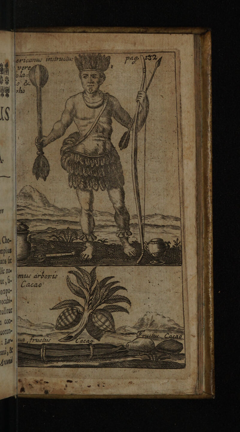 | Cho- plui ari it lic nis ul prp (och tollat j (ore uorum |I m o. MIA. ar