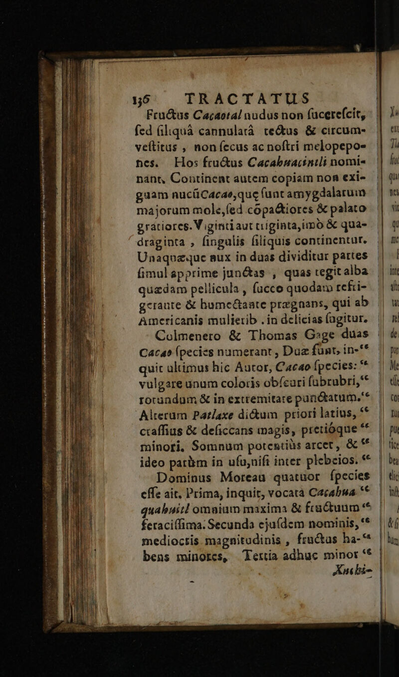 : VATlerdens api rai oi ibi rette SANE ri 9i uos ; Fru&amp;us Caraotal nudus non fücerefcit, fed (iliquà cannulará. ce&amp;us &amp; circum- veftitus , non fecus ac noftri melopepo- nes. Hos fru&amp;us Cacabuacinii nomi- nánt, Continent autem copiam non exi- gaam nuc(iCacae,que (unt amygdalaruim majorum mole,(ed copa&amp;iores &amp; palato gratiorcs. V iginti aut criginta,imó &amp; qua- draginta , fingulis filiquis continentur. Unaquaz«ue sux in daas dividitur pattes (imul apprime jun&amp;as , quas tegit alba quadam pellicula , fucco quodam refti- gcraute &amp; hameüaate praegnans, qui ab Americanis mulierib . in delicias (agitur. Colmenero &amp; Thomas Gsge duas Cacao (pecies numerant , Dua funt, in-** quic ultimus hic Autor, Cacao fpecies: ** vulgare unum colotis obícari fübrubri,' rocundum &amp; in extremitate pundtatum,'* Alteram Par/axe di&amp;um priori latius, ** minori, Somnum potesiiàs arcet, &amp; ** ideo patàm in ufu;nifi inter plebeios. €* Dominus Moreau quatuor fpecies effe ait, Prima, inquit, vocata Cacabua. ** feraciffima: Secunda eju(dem nominis, '* mediocris. magnitudinis , fractus ha-** bens minores, -