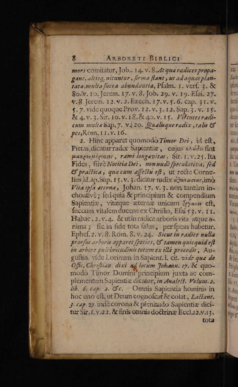 sur: comitatur, Job. 14. v. 8. 4r qui radices propa- gant, altisq, nituntur , firma flant ,ut ad agent plan- LALA TH P f «cA abundautia, Pfalm. 1. verf, 3. &amp; 80.iv. I0, ferem. 17. v. 8. Job. 29. V. I9. Efai. 27. v.8 Jerem. 12. v. 2. Ezech, 17. v. $. 6. cap. 3 1. v. $.7. vidc quoque Prov. 12.V.3.12«5ap. 3. Vi T. &amp; 4.v.3.Sir. I0. v. 18. &amp; 40. v. 1$. Vz?tutesradi- eum inulteSap.7. v4 20. Qualiequeradix ,talis € €54,01. L I. V. I6. 2. Hinc apparct quomodó Ter Dei , id eft, Pictas,dicaturradix Sapientie ,' cujus «Ado fint poxen us eeuns , YAPH longavitar , Sir. 1, v.25.]ta Fides, fiivé Notitia De? ,- nonuudé Jpecat IULUM, fed G praciica, que cum afeciu efl , ut recte C orne- lius aLap.Sàp. 15. v. 3. dicitur radix « ede emtare, imó Vita pf eI EPA ; Johan. L7. V. 3. nón tantum in- choativ?; fed quia &amp; principium &amp; cor npendium ^f Sapie: ntis, viteque sterne unicum Zevavoy eft, Habac.2.v.4.. &amp;utinra: dice arboris vita atque a- nima; ficin fide tota falus y períp em habetur. Ephe.2 2.Y. 8. Róm. 8. v. 24. psi in radice nulla p ovfiu arborá gparet 2 ecies, &amp; tamen quicquid eft 2 uboks Ue [cbritudinis totttm ex illa procedit , Au- guitin. vide Lorinum n 1 Sapient. l. cit. vide 24e de Offtc, Chr. jf np. dixi «d ocum Jobaan. 7. &amp; quo- 1odo Timor Domin pri cipium j iuxta ac com- plementum Sapientia dicatur, 75 Hnalett; Volum. PA Lb. 6, cap. 2. £c. Omnis SaicHitia hominis in hoc uno eft; ut Deum cognofcat &amp; colat , Lacan. 3: cap. 29. inde corona &amp; pienitudo Sapientize dici- tur Sir. 1. v.22. &amp; finis omnis doctrinz Eccl.12.v. E. tota T