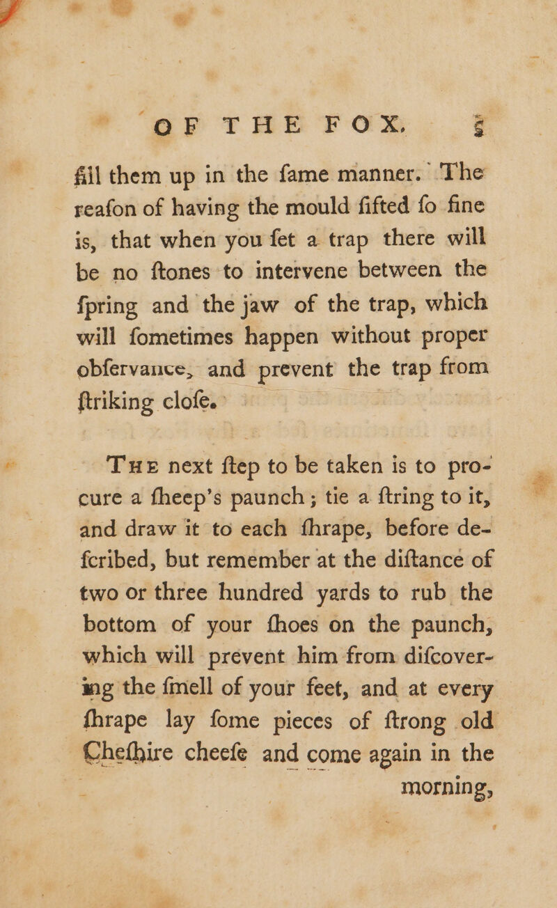 * ‘oP THE Fox 2 reafon of having the mould fifted fo fine is, that when you fet a trap there will be no ftones to intervene between the fpring and the jaw of the trap, which will fometimes happen without proper obfervance, and prevent the trap from ftriking clofe. Tue next ftep to be taken is to pro- cure a fheep’s paunch;; tie a ftring to it, and draw it to each fhrape, before de- fcribed, but remember at the diftance of two or three hundred yards to rub the bottom of your fhoes on the paunch, which will prevent him from difcover- ing the fmell of your feet, and at every fhrape lay fome pieces of ftrong old Chethire cheefe and come again in the ‘ | morning,