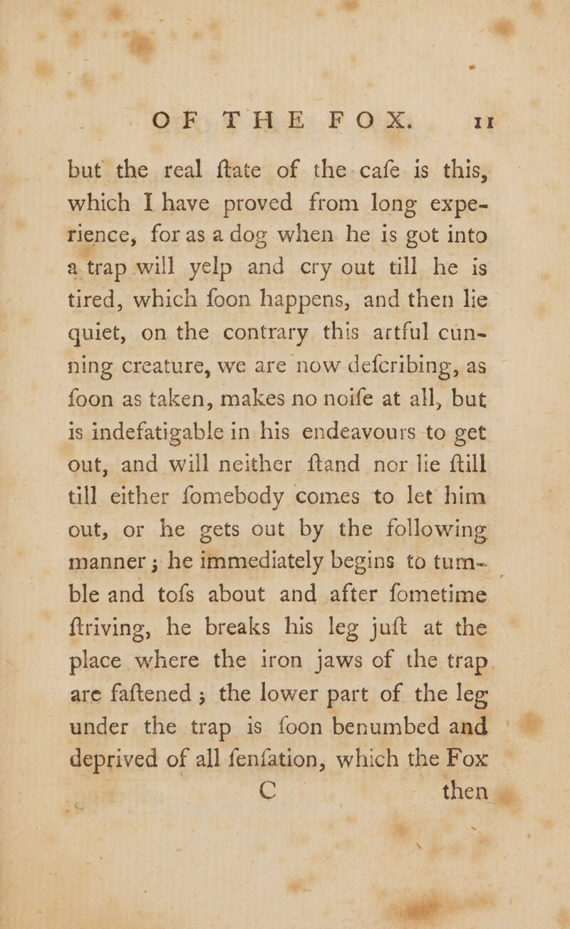 a . OF: THE FOX, Ir but the real ftate of the. cafe is this, which I have proved from long expe- rience, for as a dog when. he is got into a trap wil yelp and cry out till he is tired, which foon happens, and then lie quiet, on the contrary this artful cun- ning creature, we are now defcribing, as — foon as taken, makes no noife at all, but is indefatigable in his endeavours to get out, and will neither ftand nor lie ftill till either fomebody comes to let him out, or he gets out by the following manner ; he immediately begins to tum- ble and tofs about and after fometime ftriving, he breaks his leg juft at the place where the iron jaws of the trap. are faftened ; the lower part of the leg under the trap is foon benumbed and ° deprived of all fenfation, which the Fox | C | then #* ‘ni i Se +h .