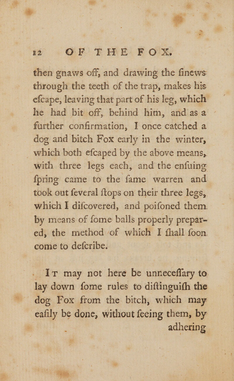 ‘a 1 OF THE FOX. then gnaws off, and drawing the finews through the teeth of the trap, makes his. efcape, leaving that part of his leg, which he had bit off, behind him, and asa ~ further confirmation, I once catched a dog and bitch Fox early in the winter, _ which both efcaped by the above means, with three legs each, and the enfuing {pring came to the fame warren and took out feveral ftops on their three legs, which I difcovered, and poifoned them. by means of fome balls properly prepar- ed, the method of which I fhall foon. come to defcribe. . Ir may not here be unneceffary to. lay down fome rules to diftinguith the dog Fox from the bitch, which may eafily be done, without fecing them, by | adhering: