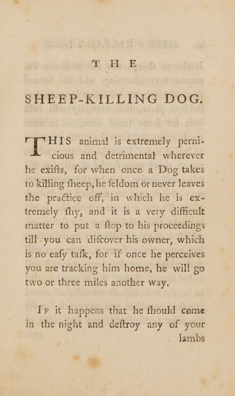 © dh Bass SHEEP-KILLING DOG. ue animal is extremely perni- cious and detrimental wherever he exifts, for when once a Dog takes to killing fheep, he feldom or never leaves the practice off,*in which he ‘is ex- tremely fhy, and it is a very difficult matter to put a ftop to his proceedings till-you can difcover his owner, which is no eafy tafk, for if once he perceives you are tracking him home, he will go two or three miles another way. Ir it happens that he fhould come in the night and deftroy any of your lambs ee @